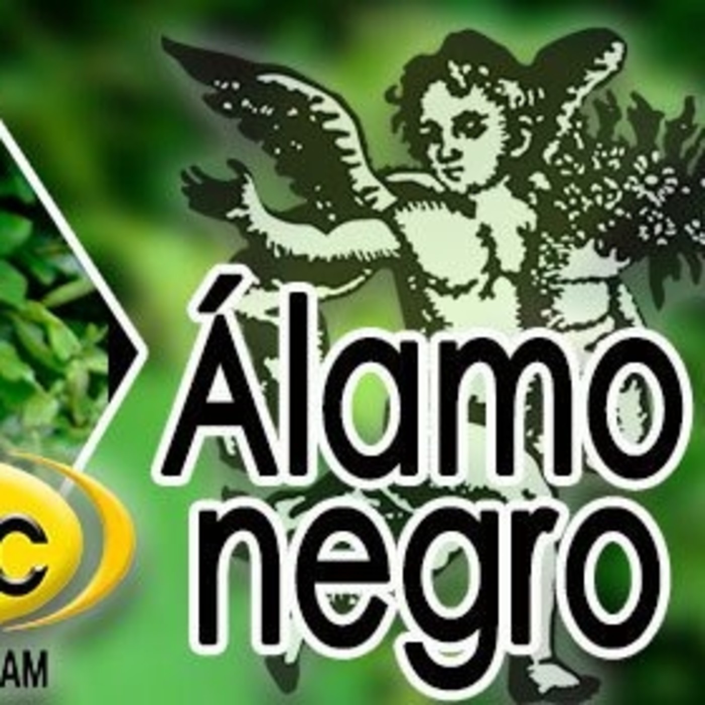 El Angel de tu Salud - ÁLAMO NEGRO II