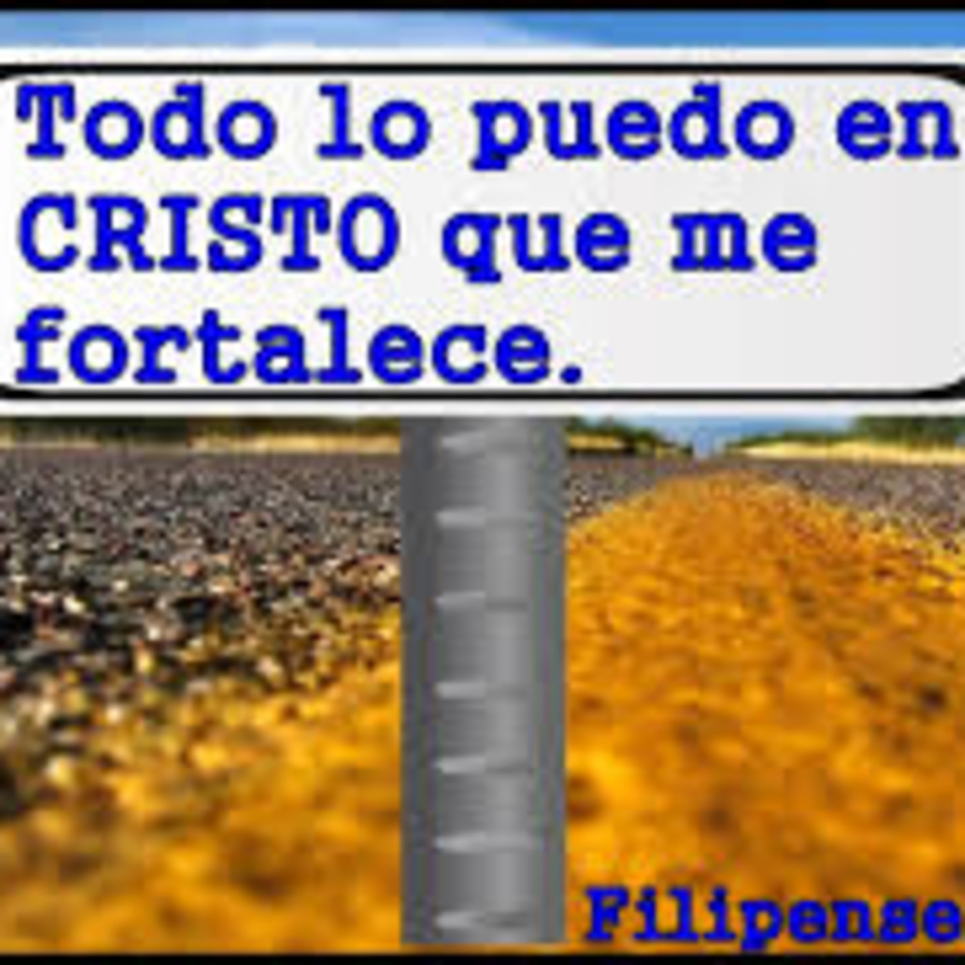 ofir urrea