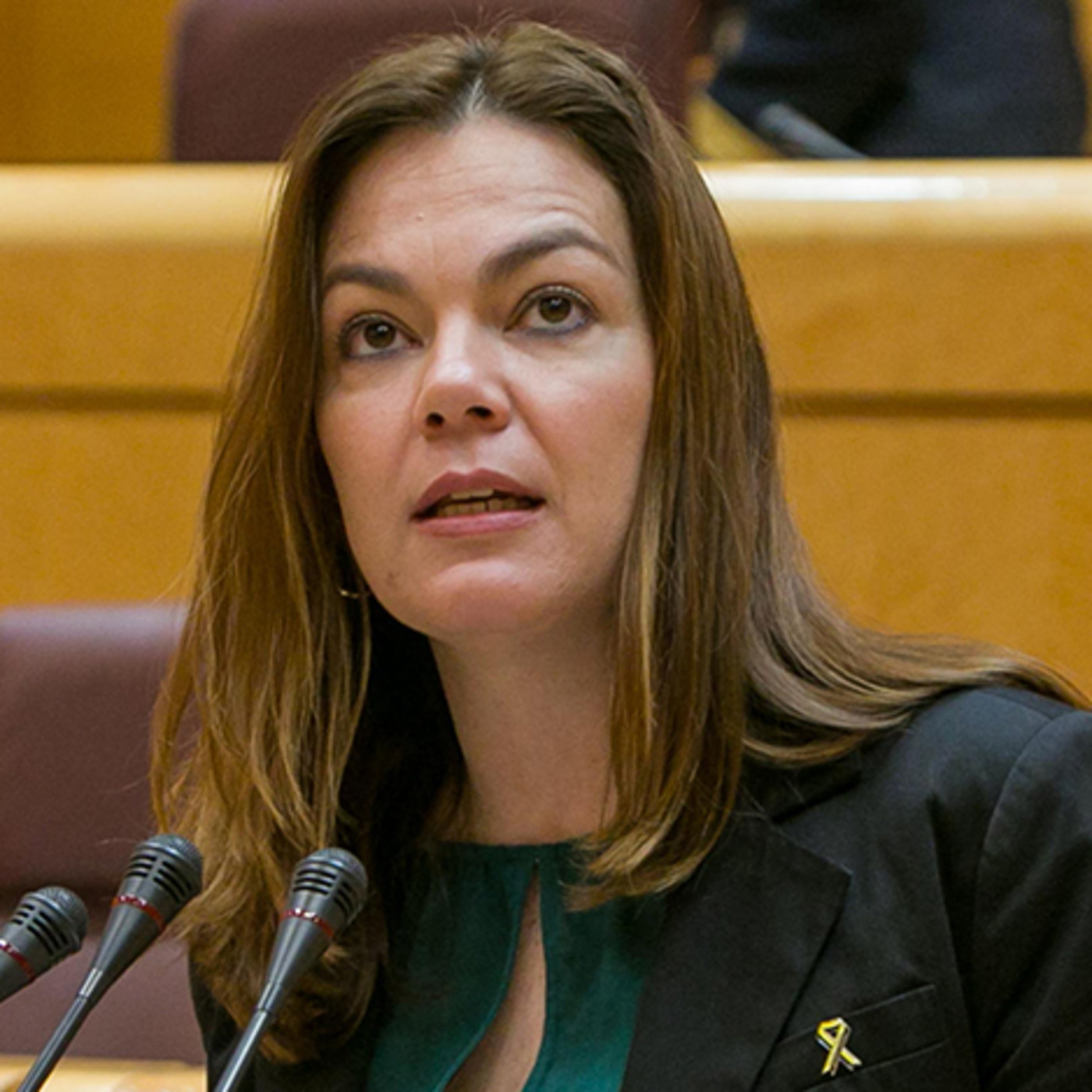 Nueva Canarias Senado