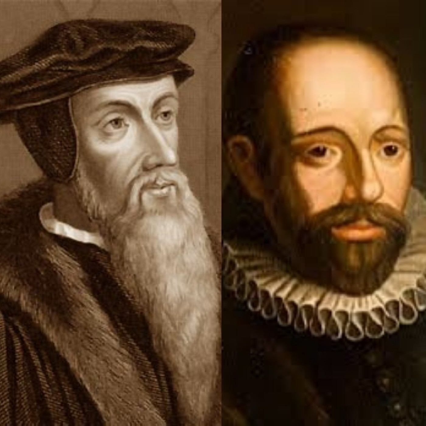 La inmediata oposición protestante al calvinismo thumbnail