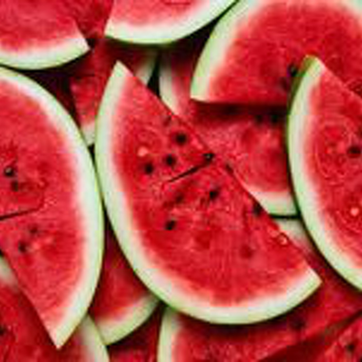 Fat Sounds Sonidos Gordos - Reggae