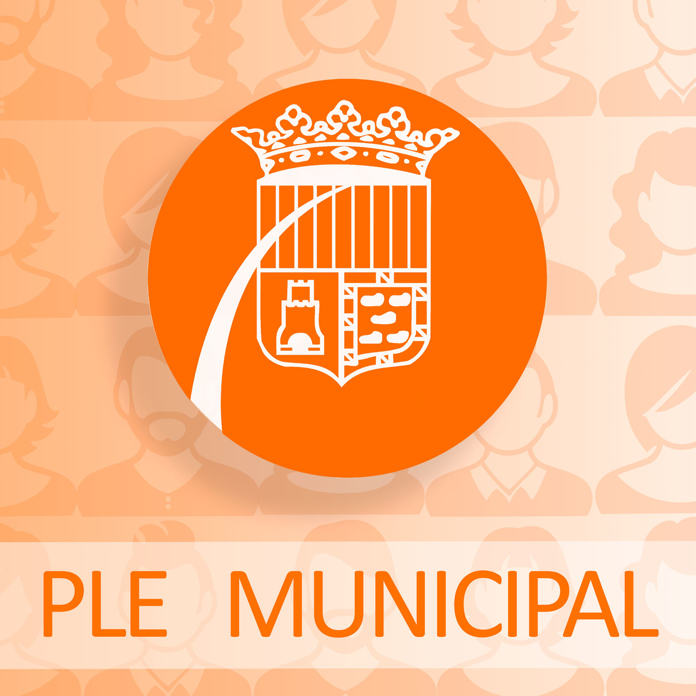 Ple municipal de desembre 2019. Sense talls episode artwork