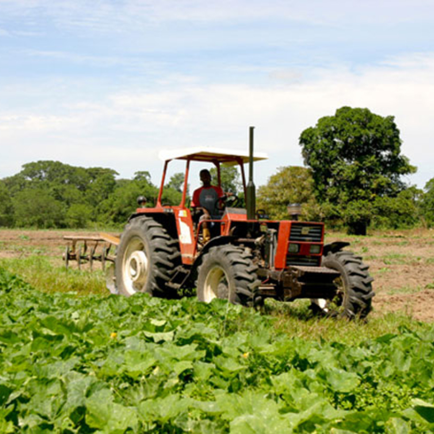 Se proyectan 3 mil 500 millones de pesos en créditos para Tamaulipas ENLACE 31 DE MAYO DE 2017