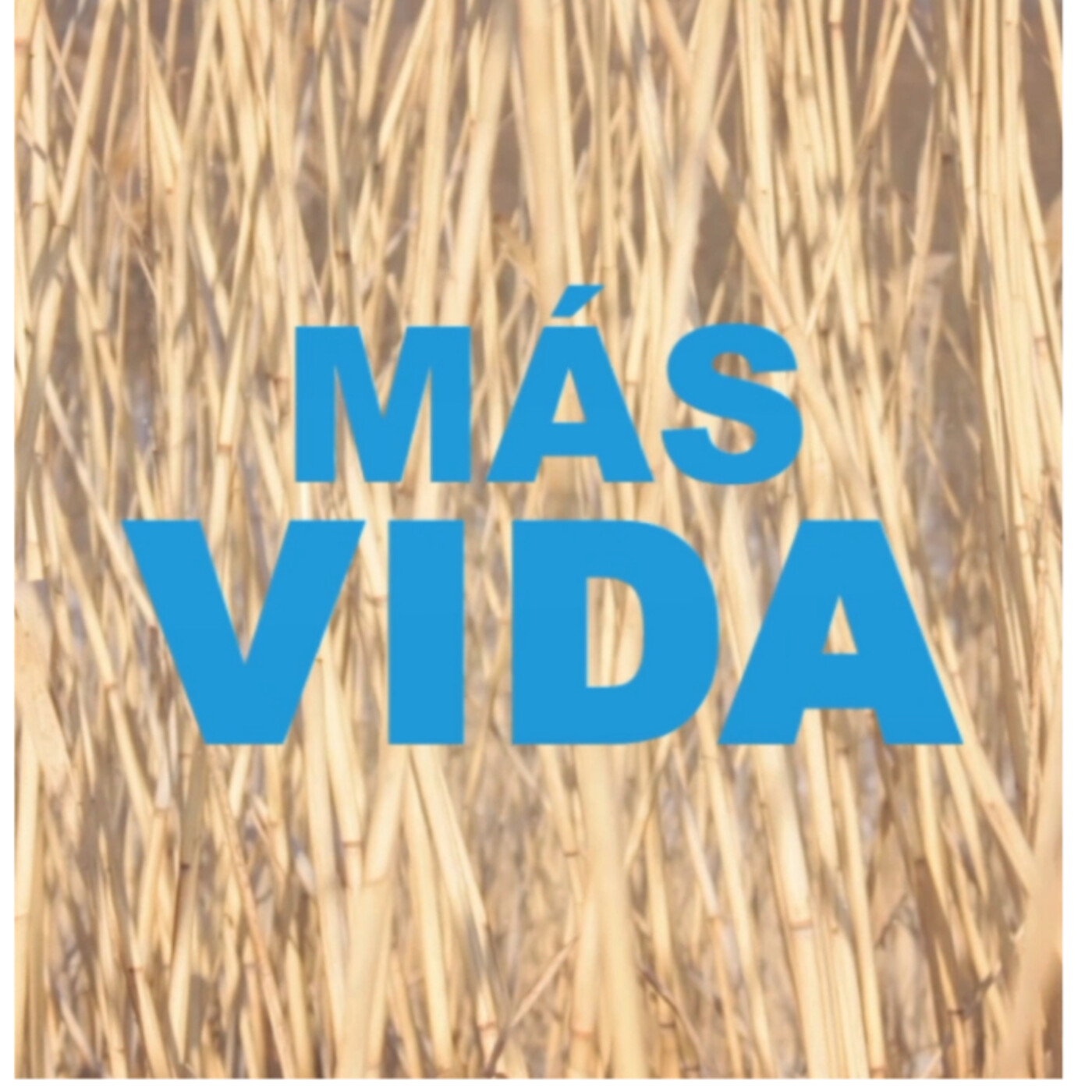 MÁS VIDA