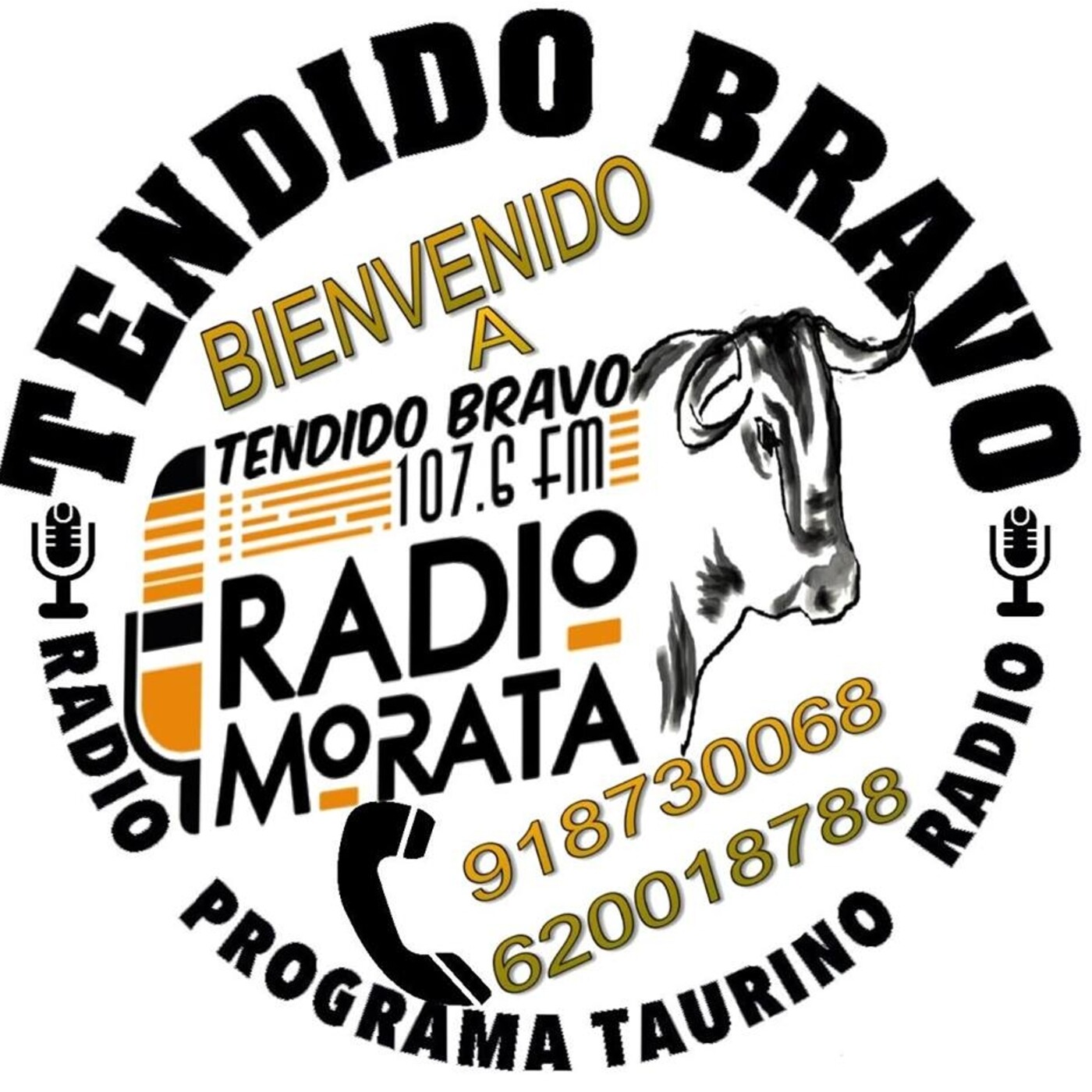 TENDIDO BRAVO