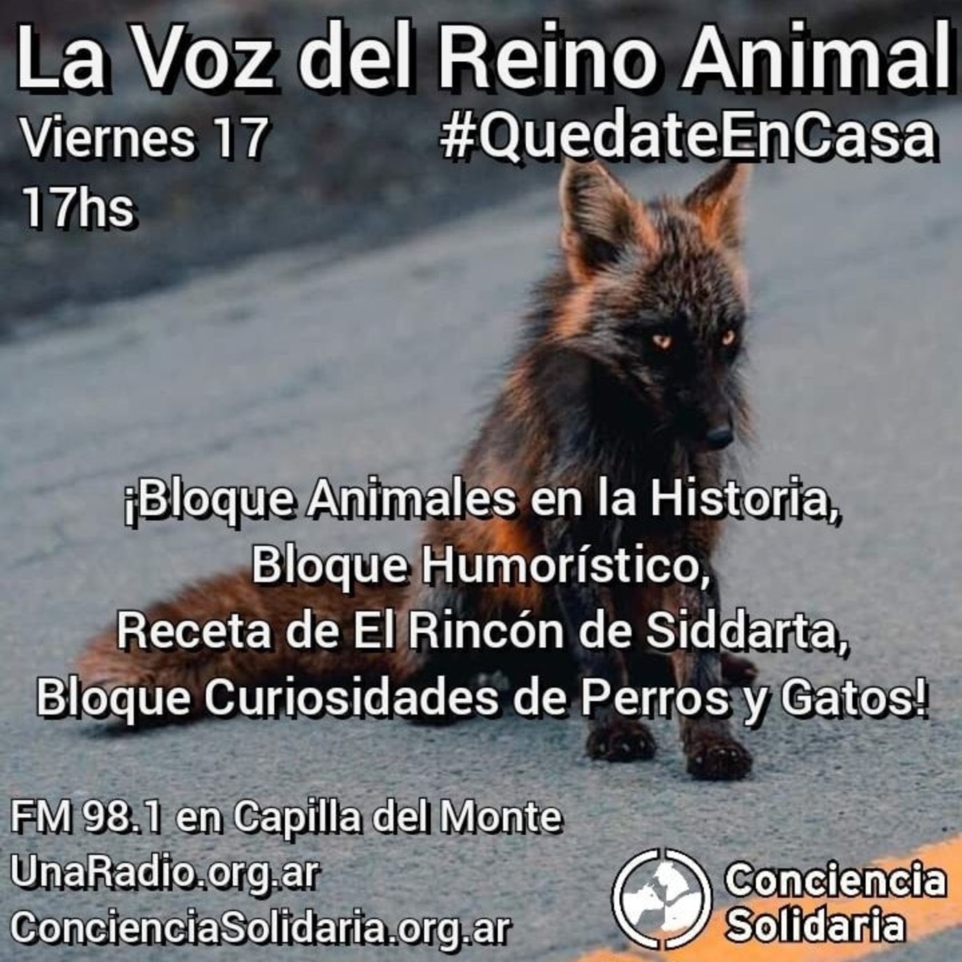 #LaVozDelReinoAnimal 17.04.2020 episode artwork