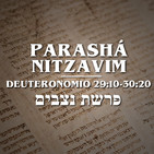 Parashat Nitzavim - 2019