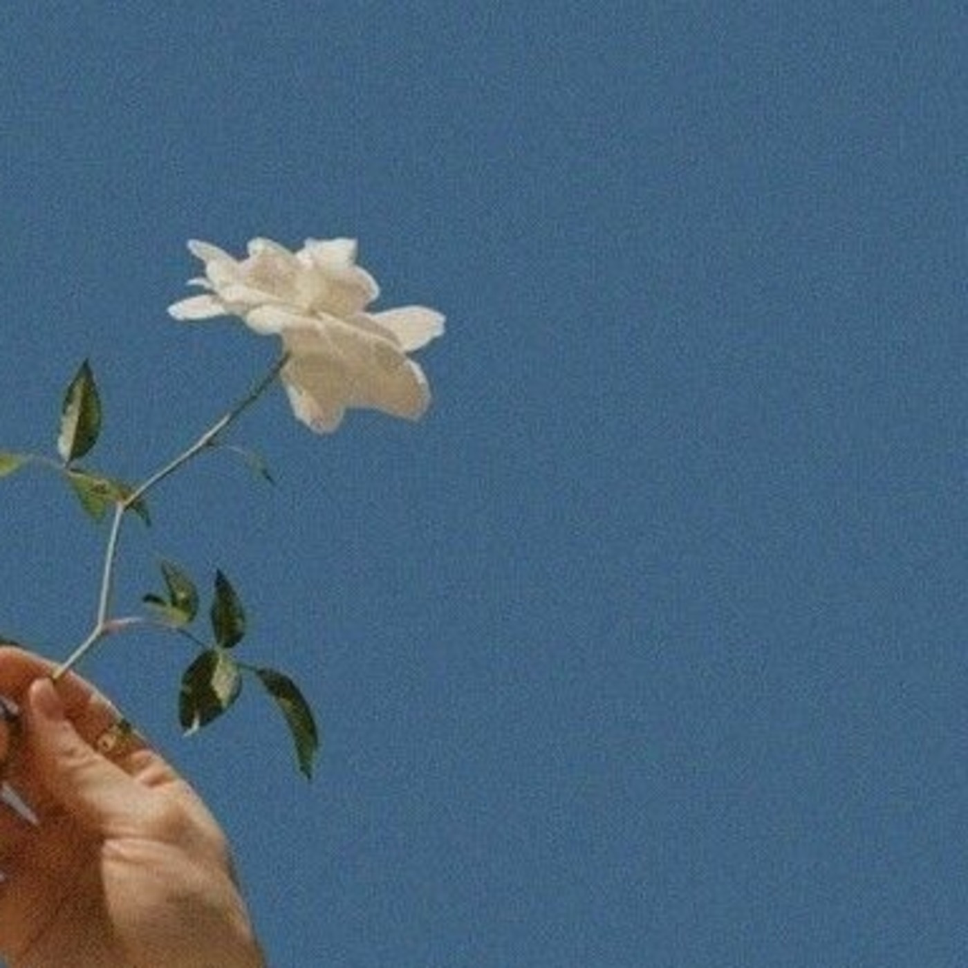 Slowed Down Songs