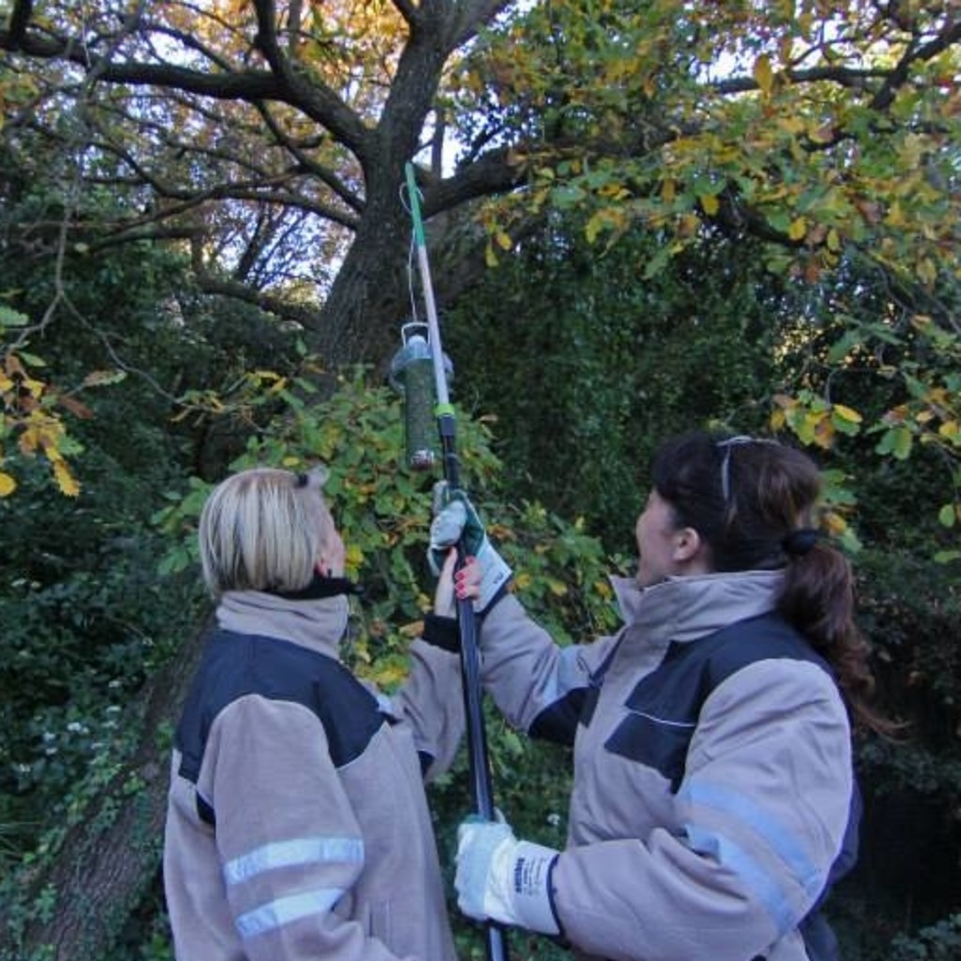La Terra - 29/09/2015 - Voluntariat Ambiental de Sant Boi episode artwork