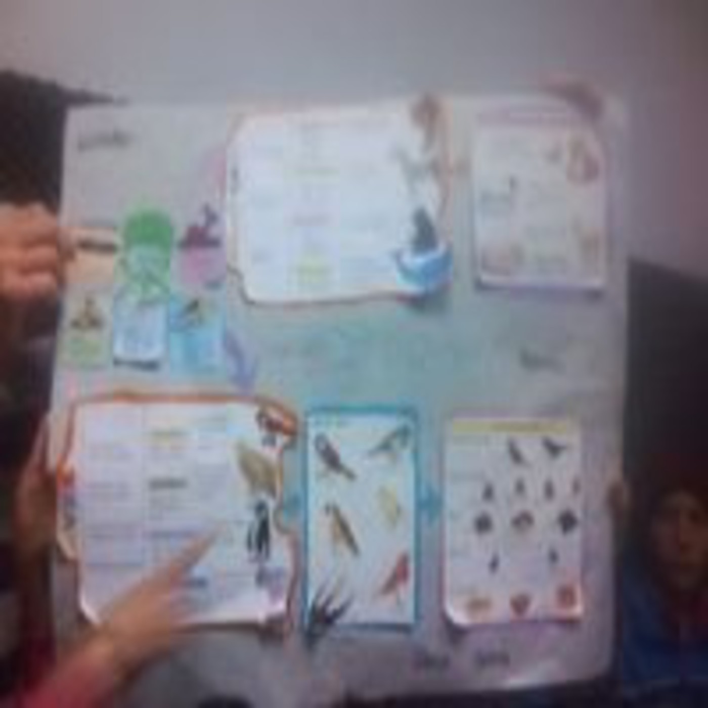 Programas Escolares