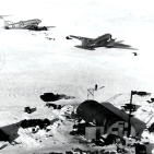 embed image