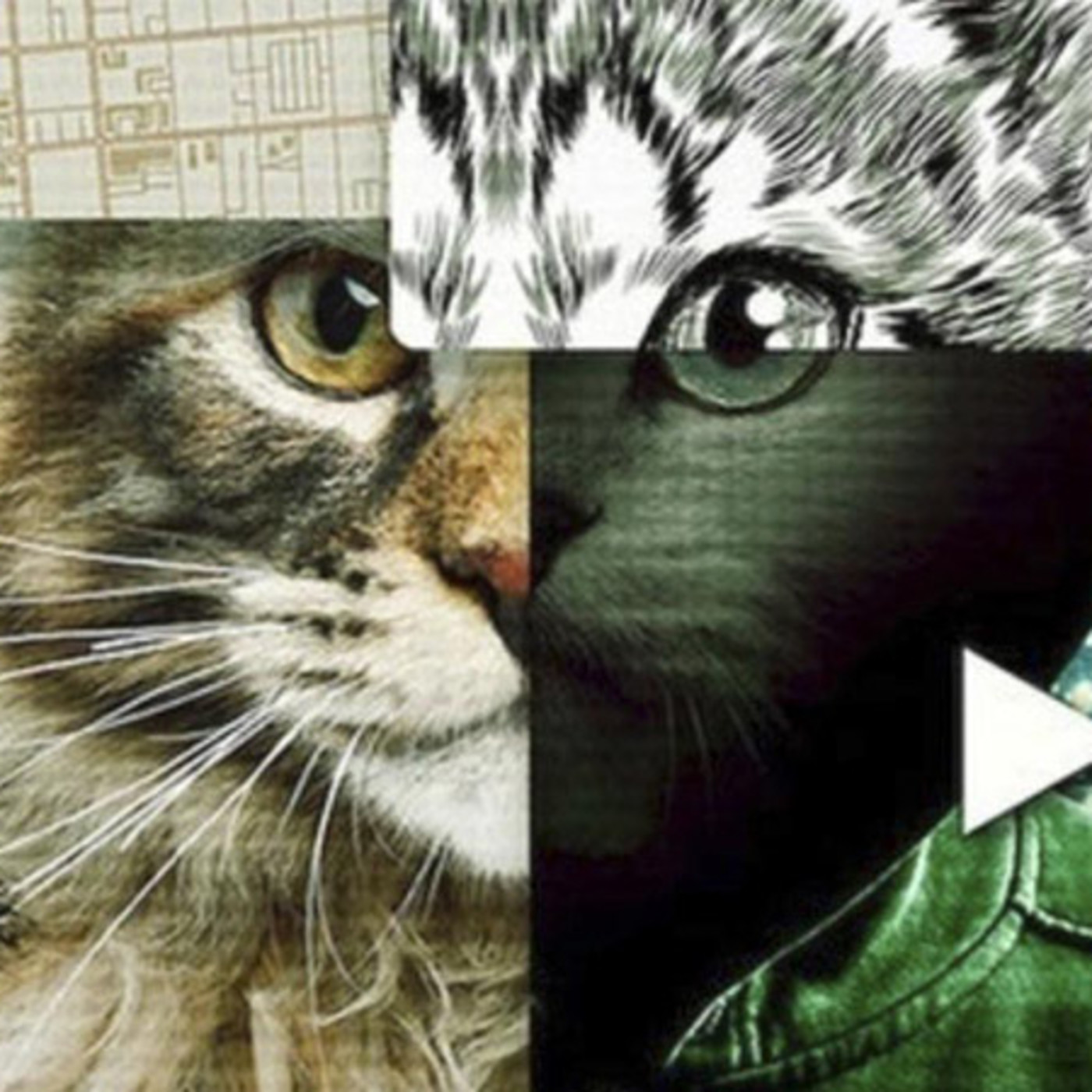 No te metas con los gatos - Seriemaniac (29 de enero) Series de TV episode artwork