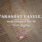 Parashat Vayelej - 2019