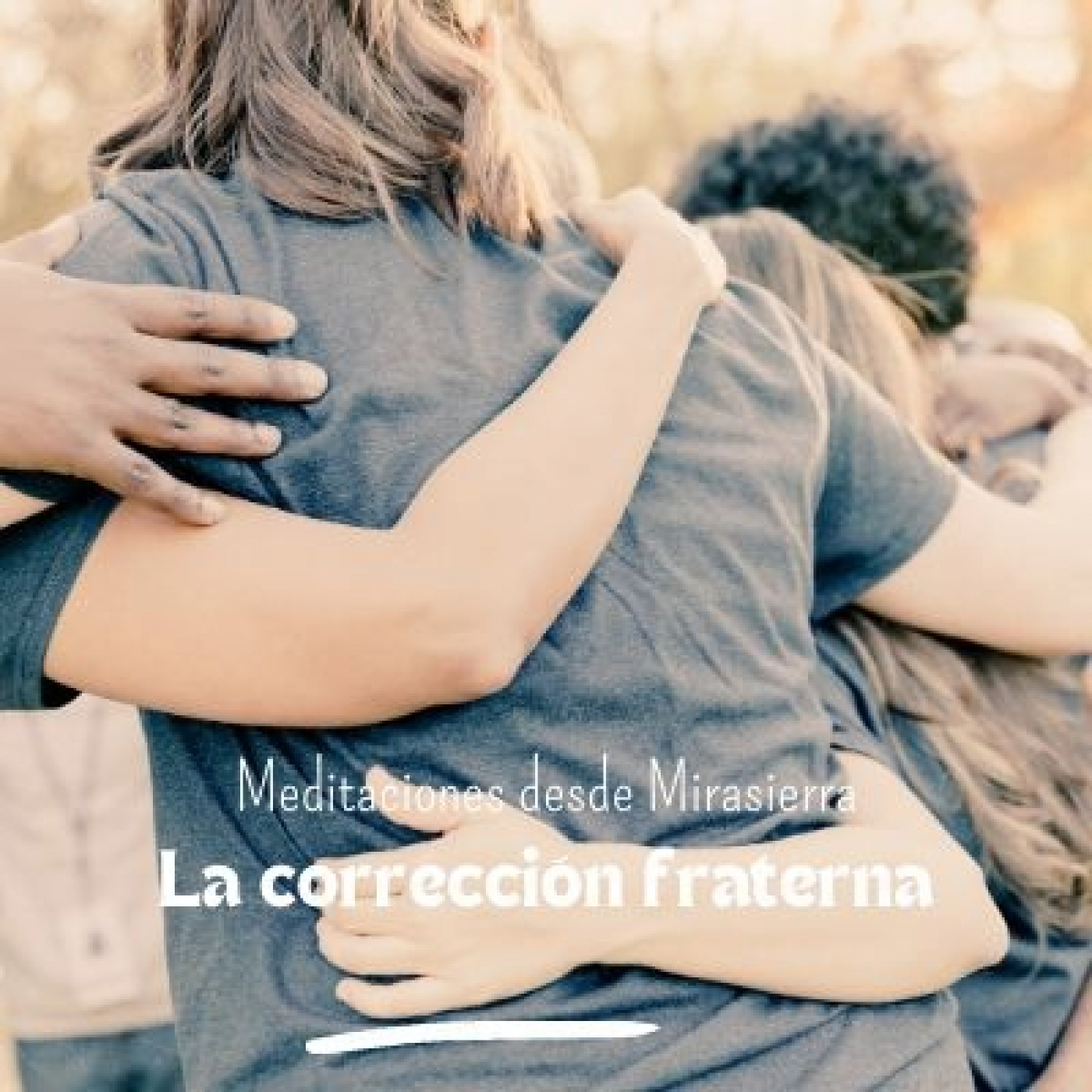 Meditaciones desde Mirasierra