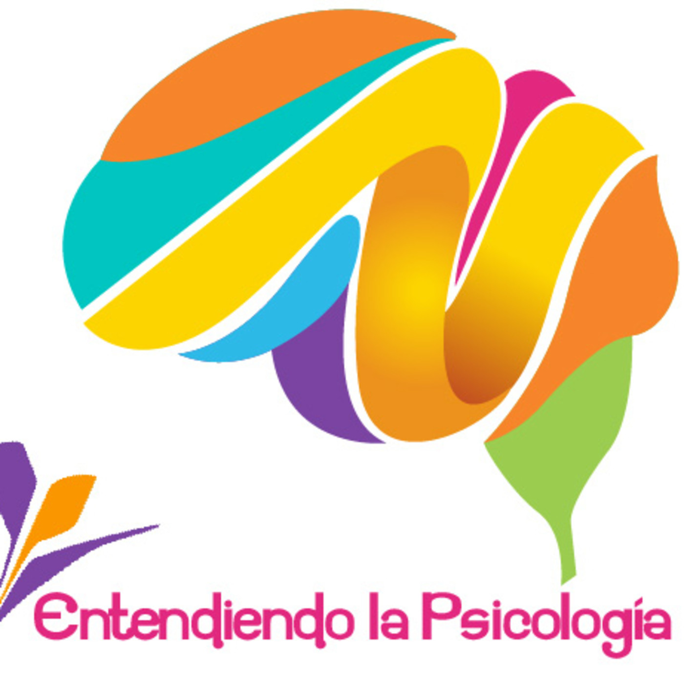Entendiendo la Psicología