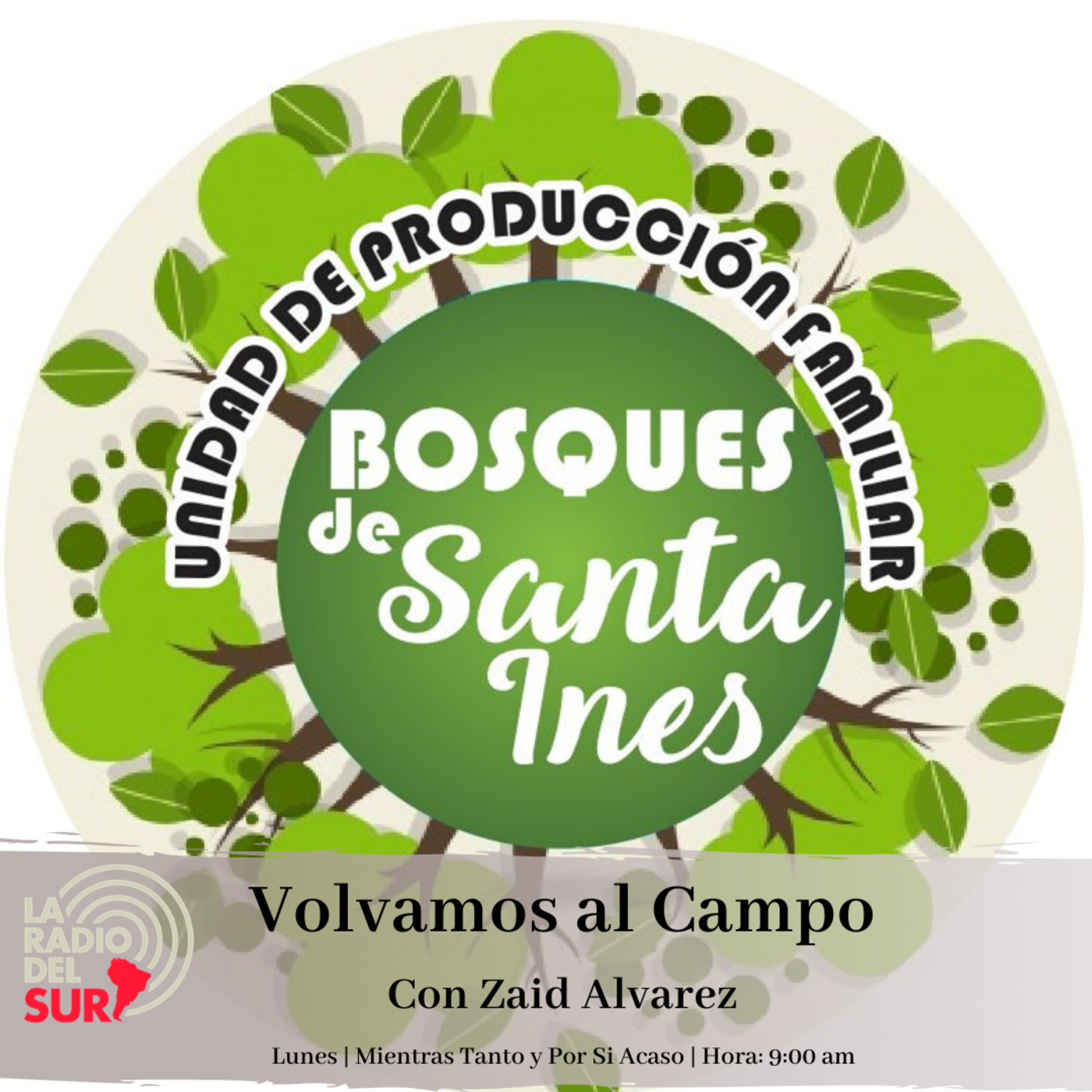 Columna Volvamos al Campo