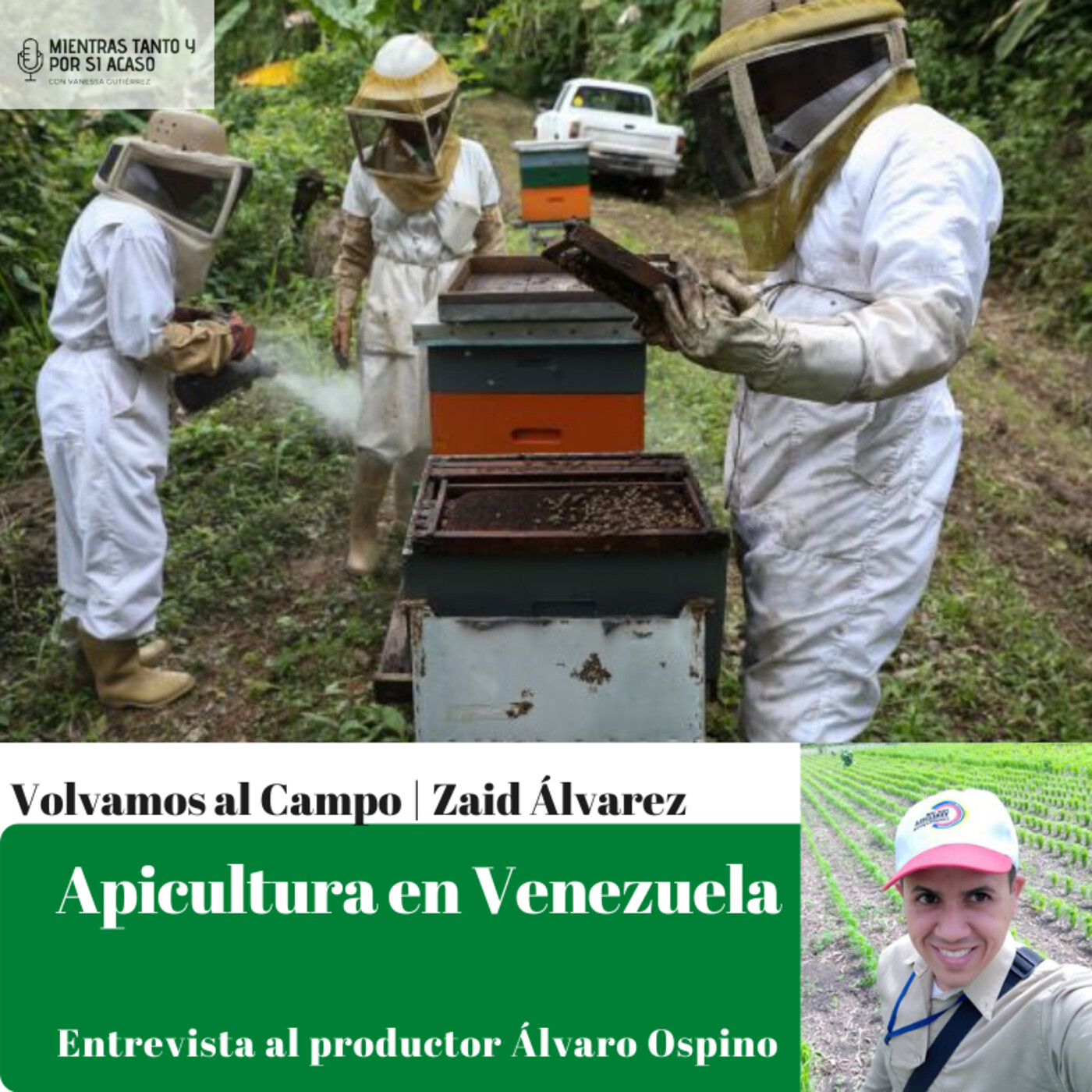 Columna Volvamos al Campo