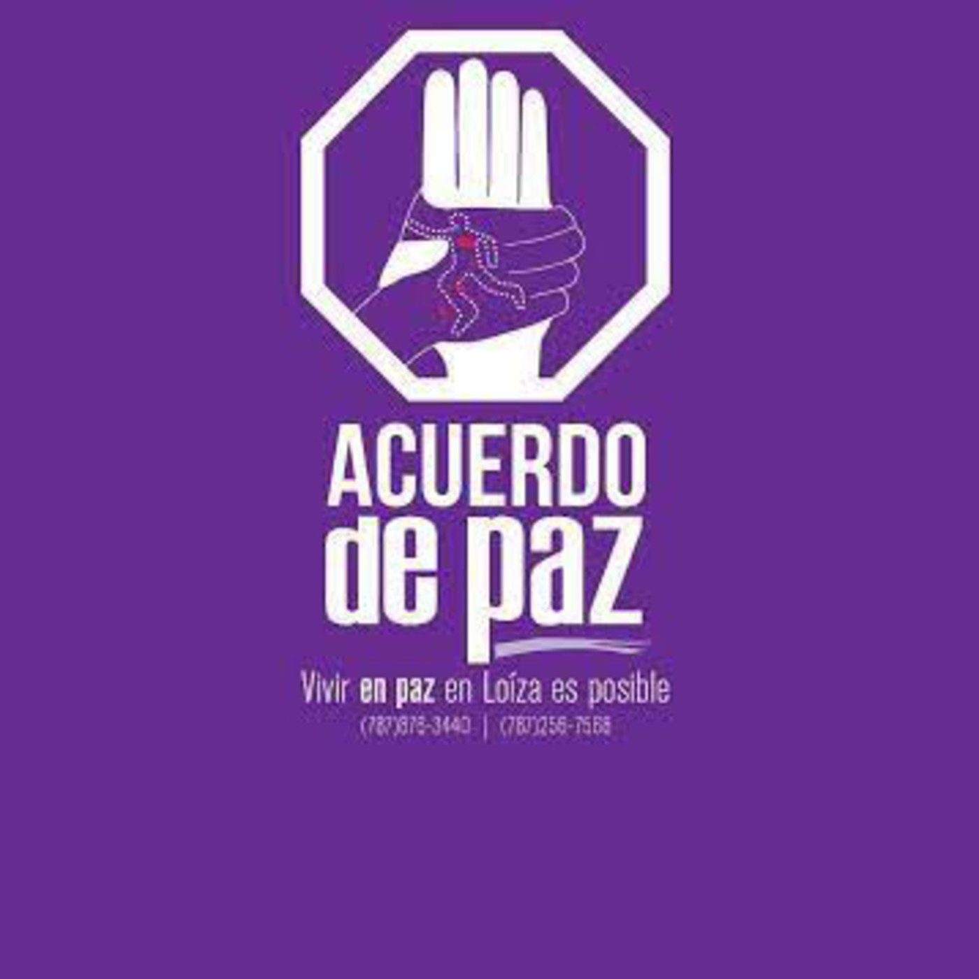 Todos quieren paz, pero nadie educa para la paz, Taller Salud en la casa episode artwork