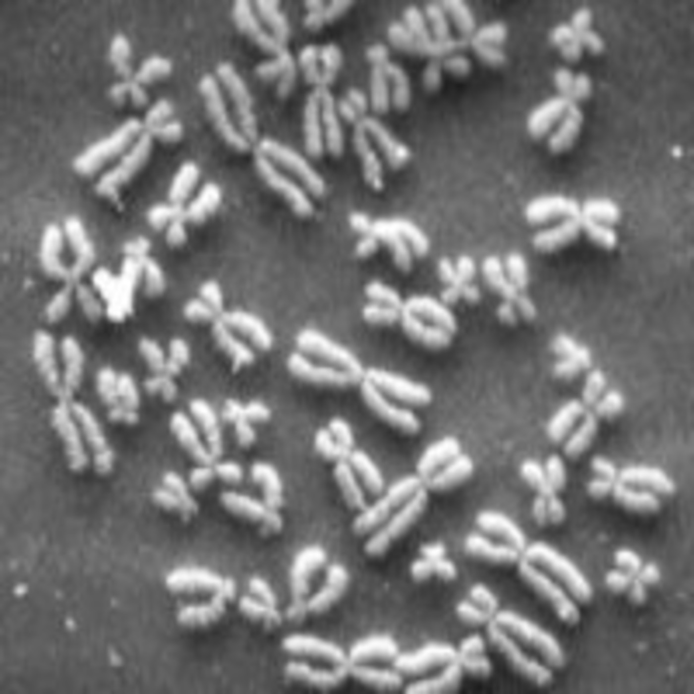 La Brújula de la Ciencia