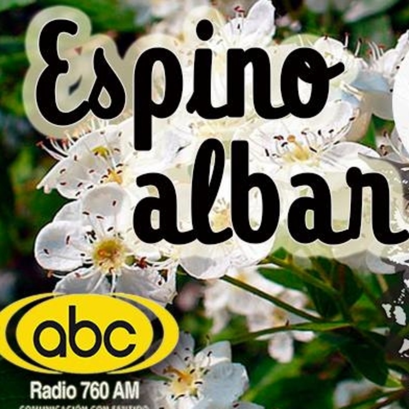 El Ángel de tu Salud - ESPINO ALBAR episode artwork