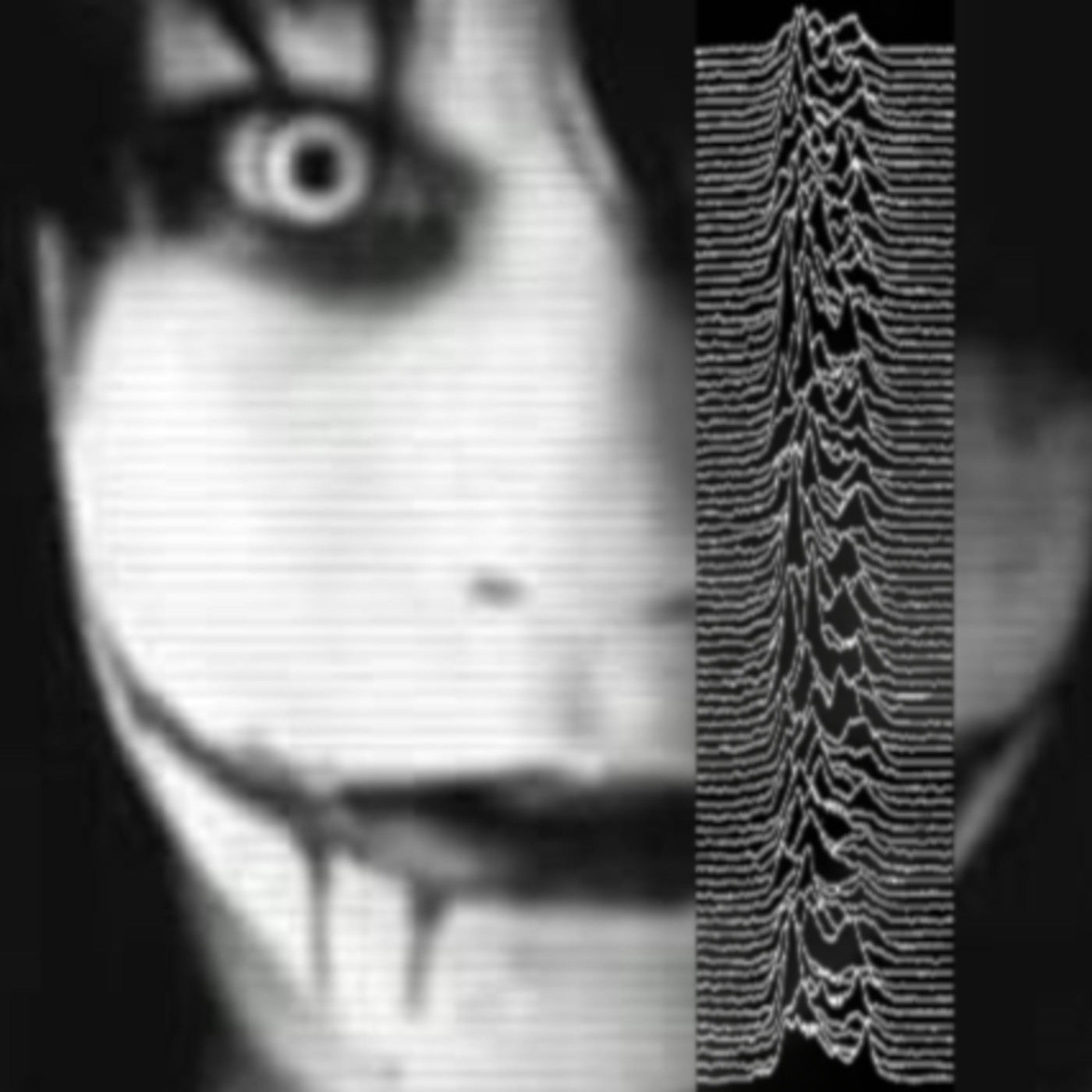 En las Sombras