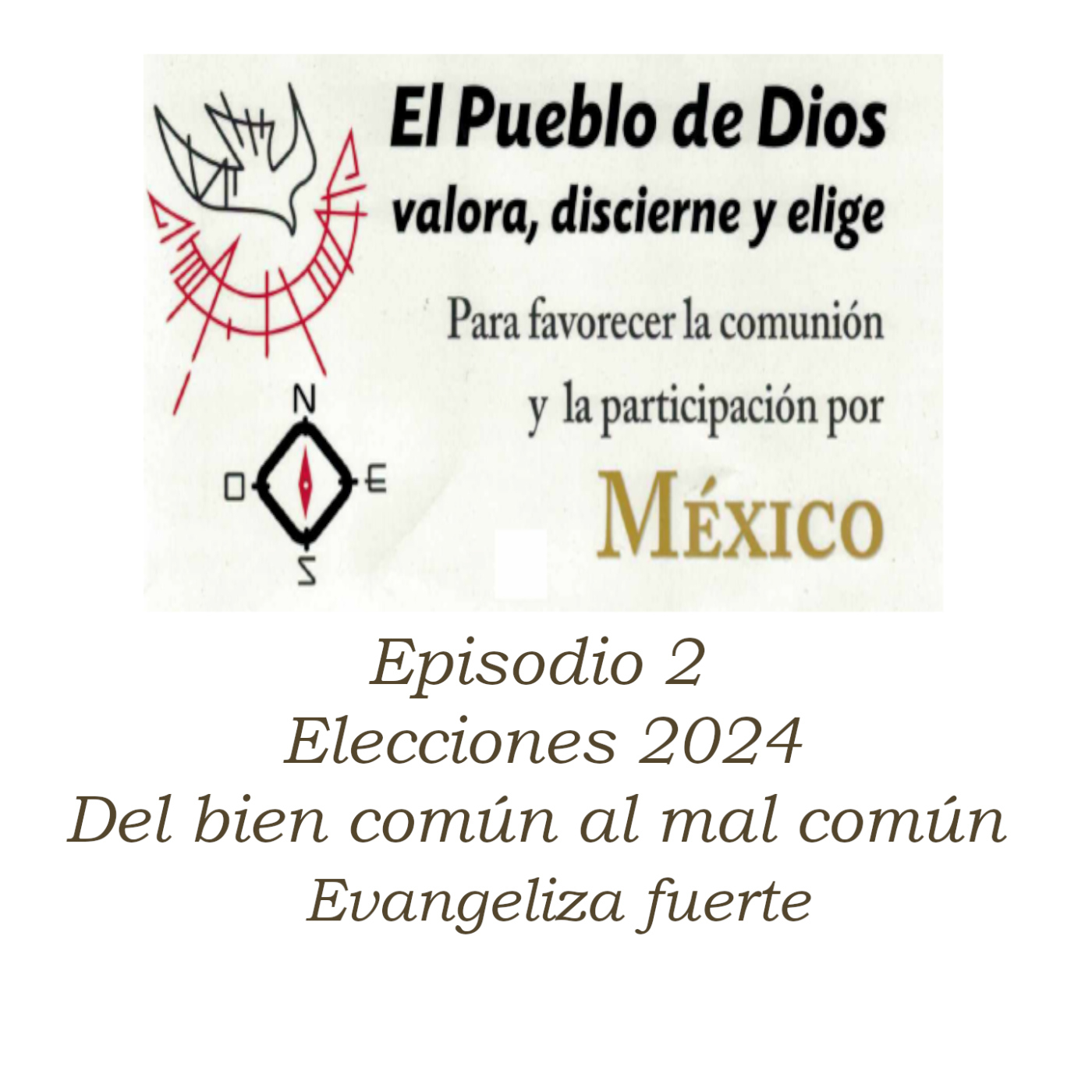Laicos compartiendo la fe