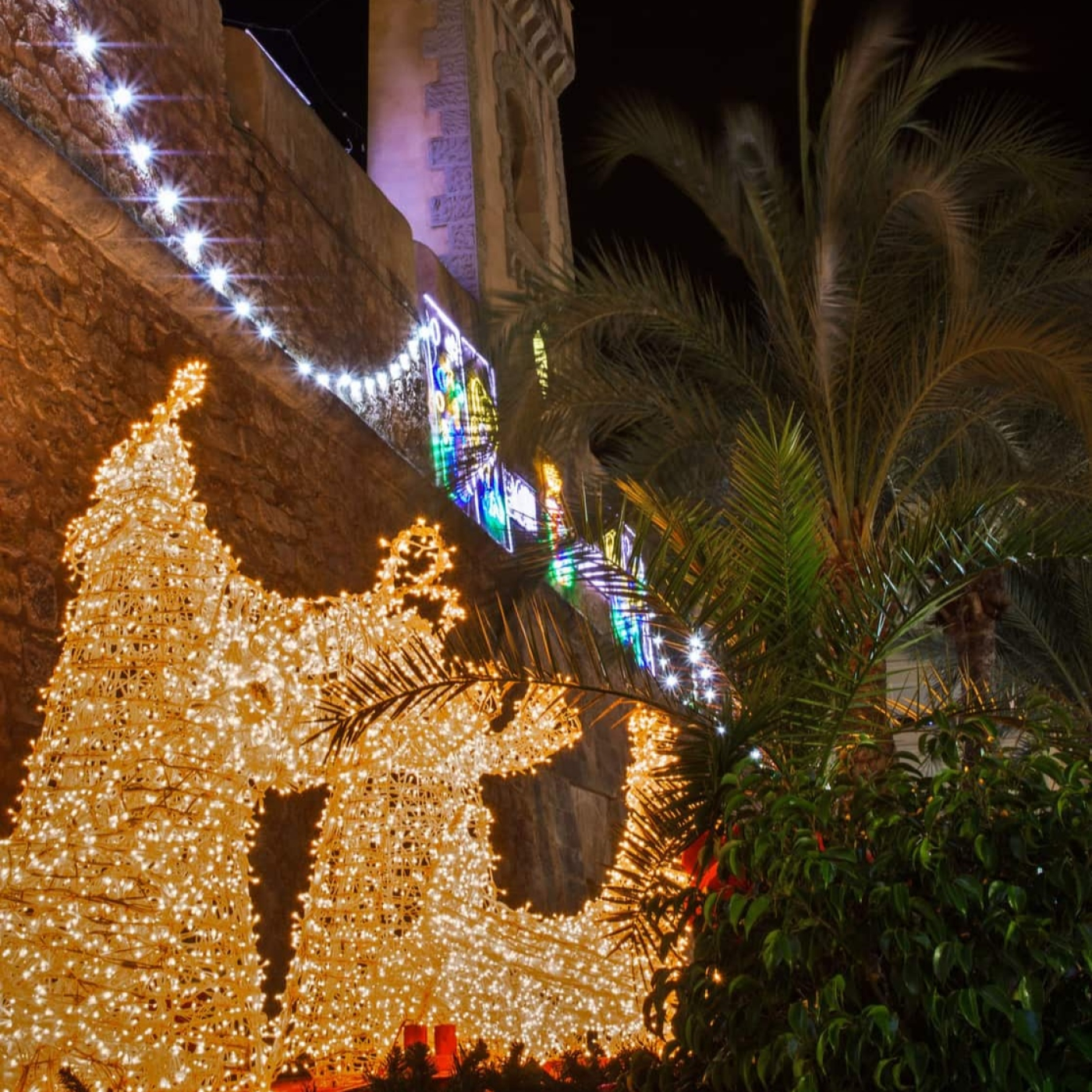 ''Invitamos a la población a que visite Santa Pola en Navidad para disfrutar del programa de actividades navideñas''. episode artwork