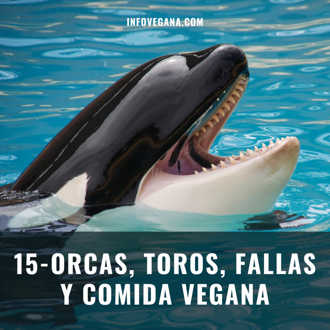 Infovegana, podcast de veganismo y sostenibilidad