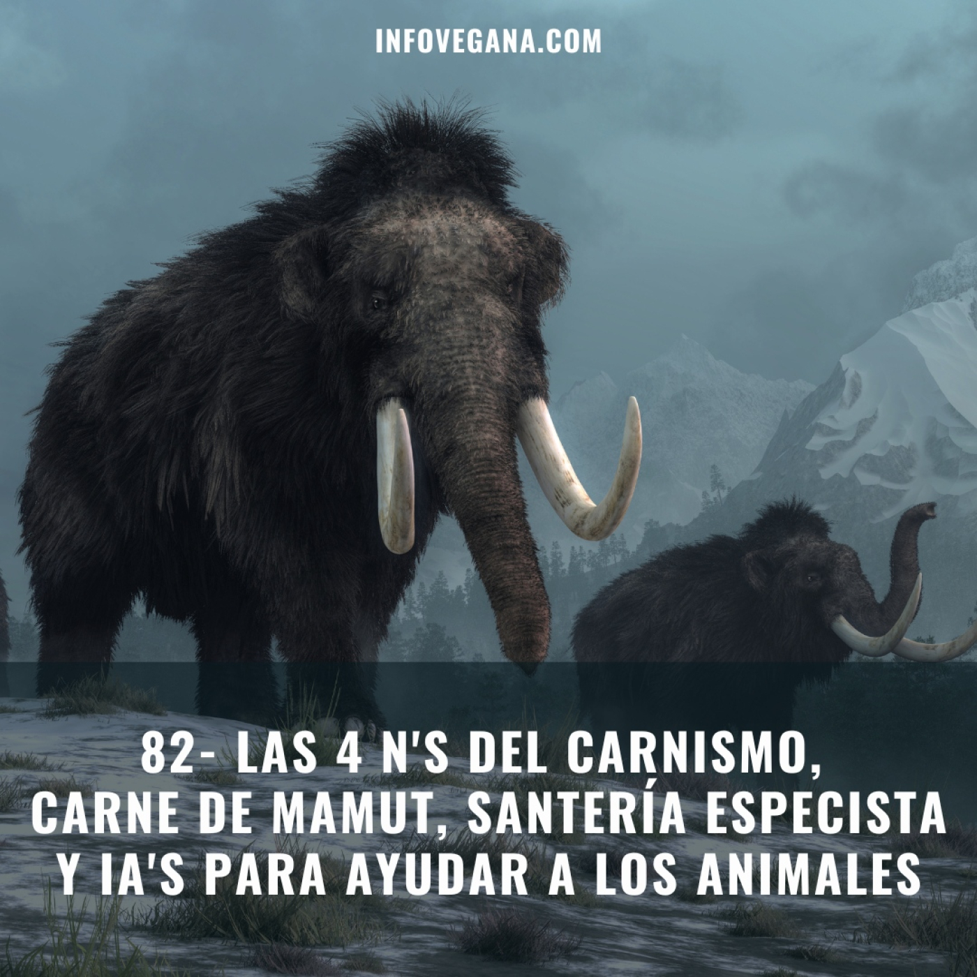 Infovegana, podcast de veganismo y sostenibilidad