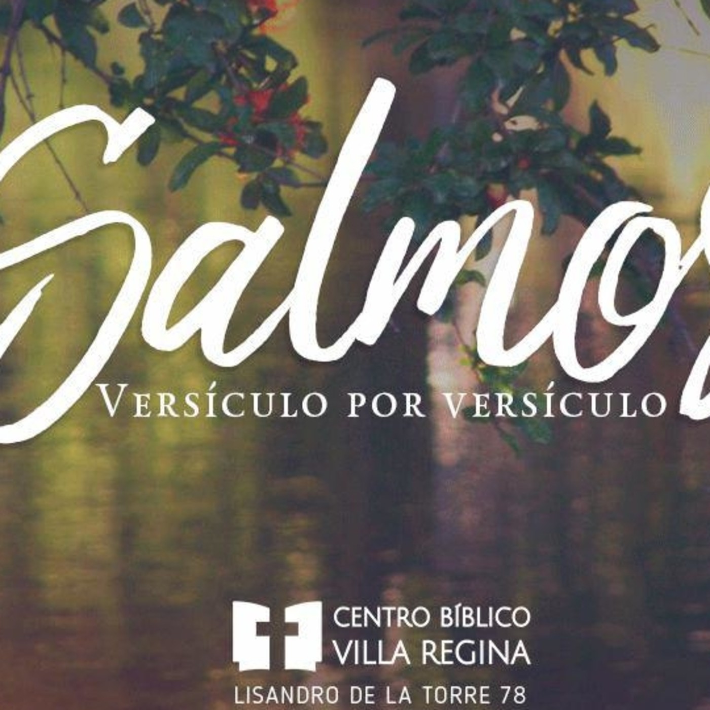 Salmos, versículo por versículo