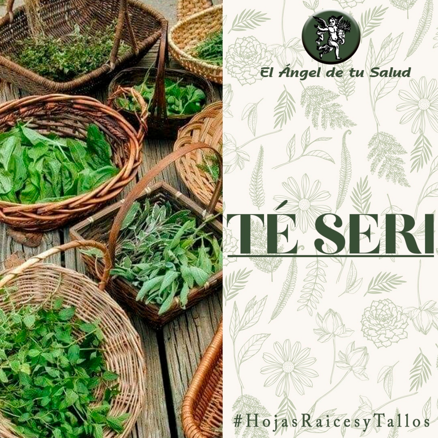 El Ángel de tu Salud - Té Seri** episode artwork