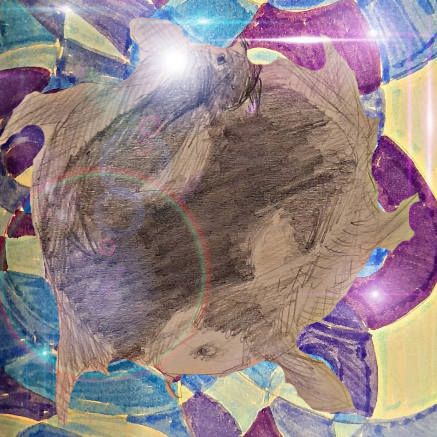 Astrosemion