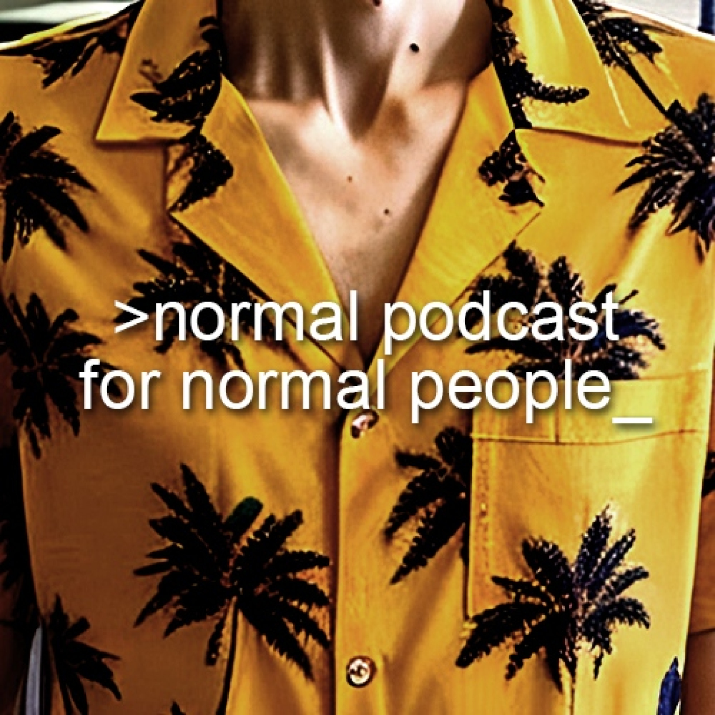 Normal Podcast for Normal People