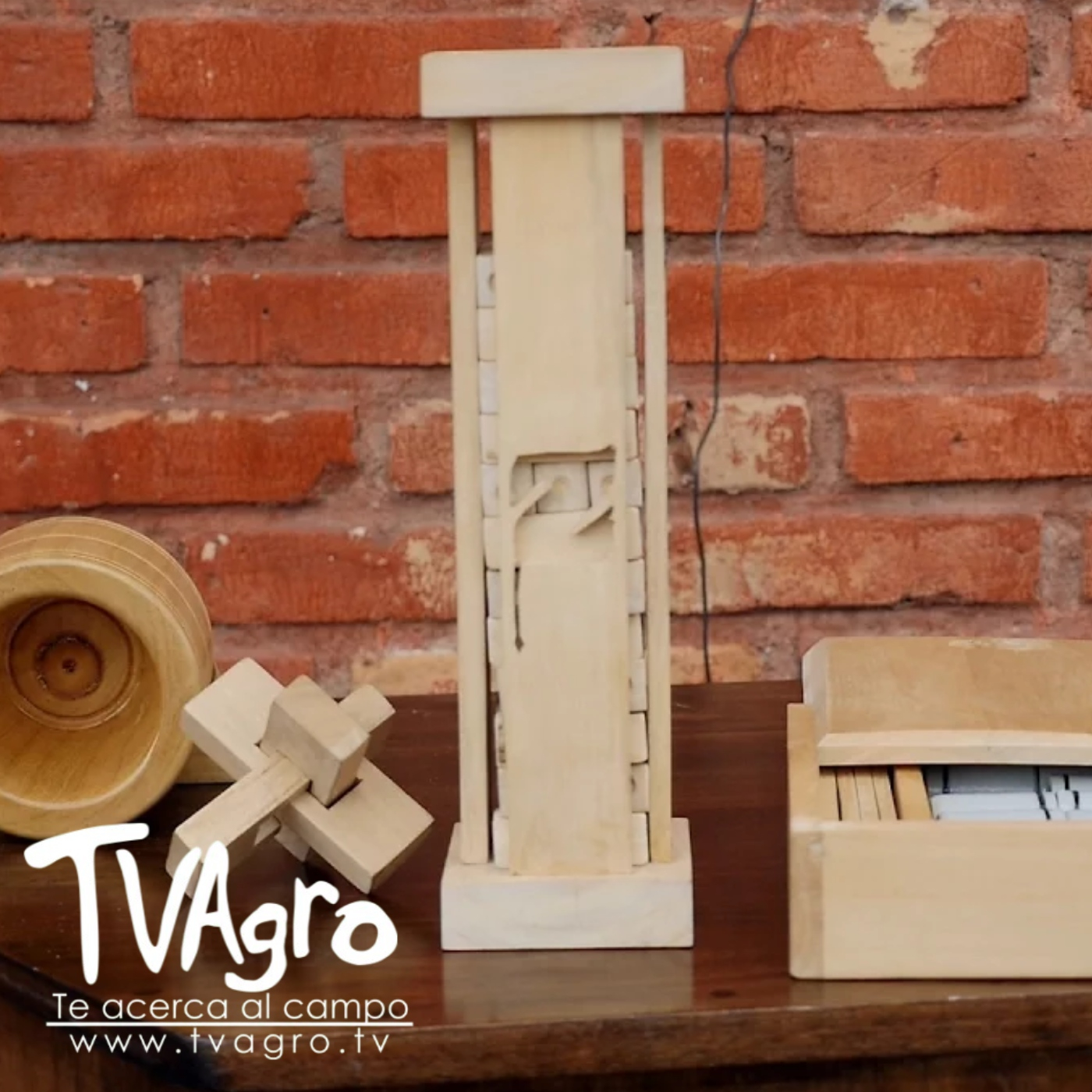 TV AGRO