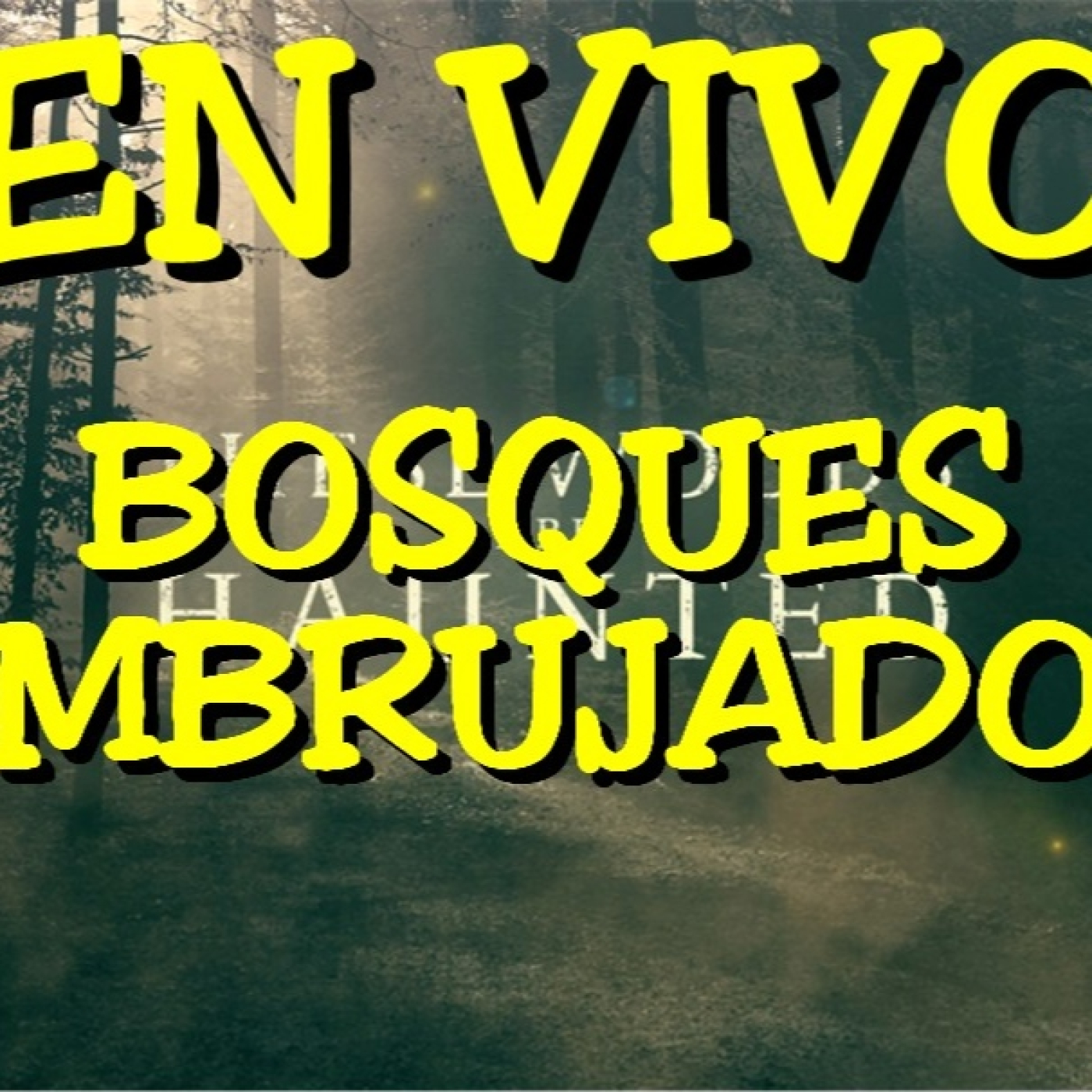 Los desvelados - 2024 - bosques embrujados