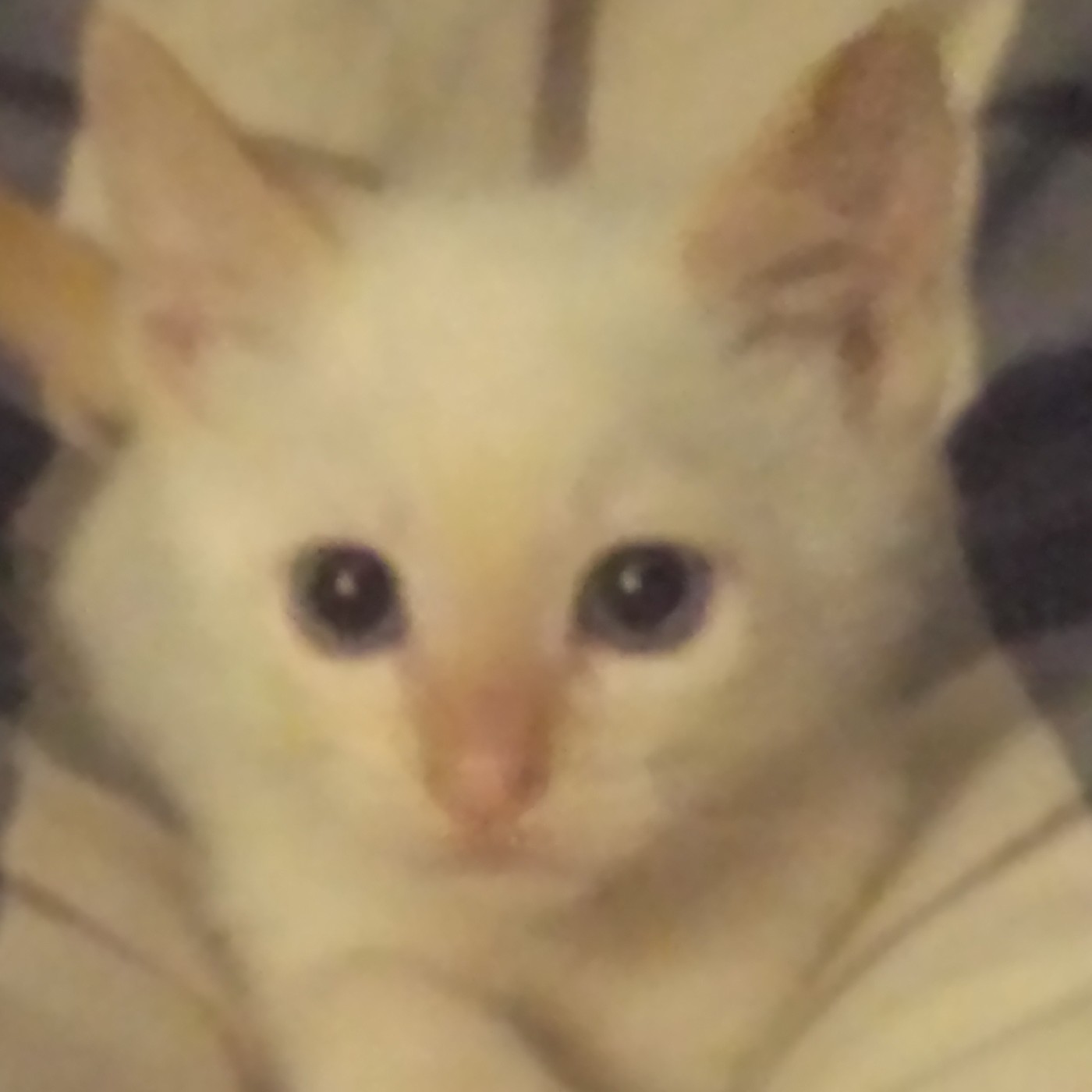 Nuestra Mente es Maravillosa