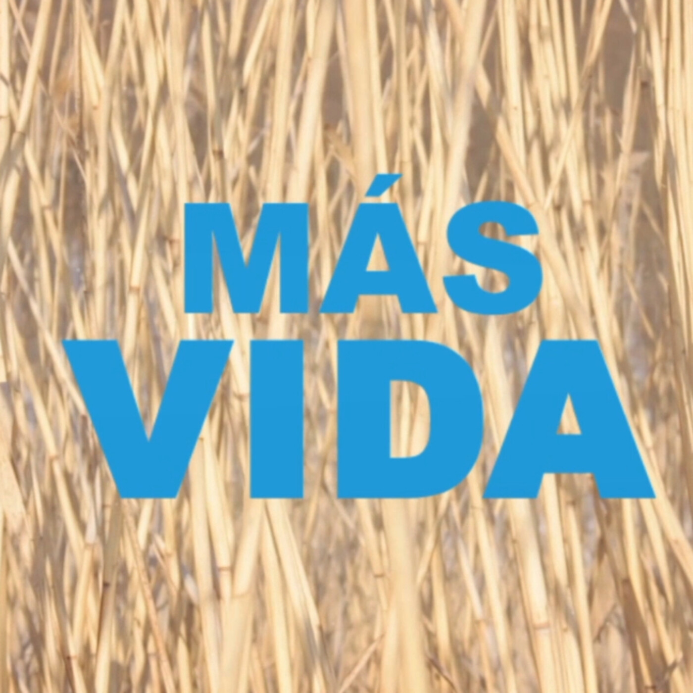 MÁS VIDA