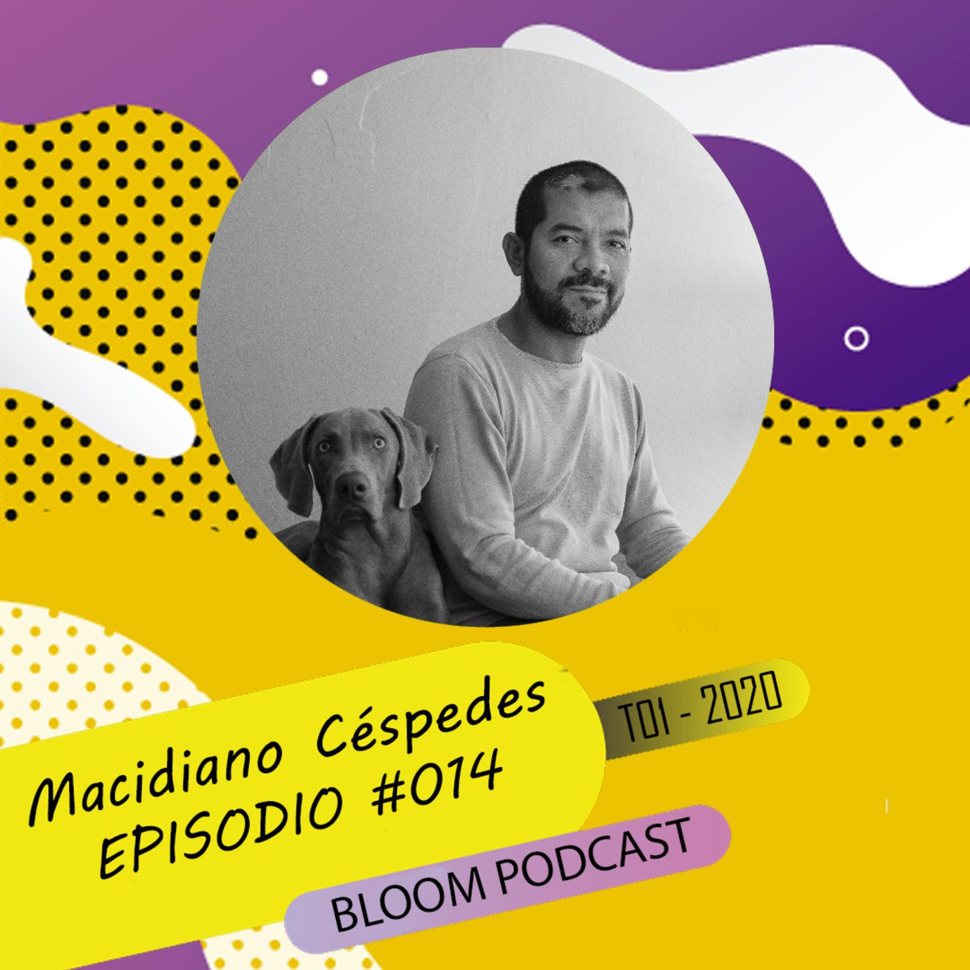 Bloom Podcast