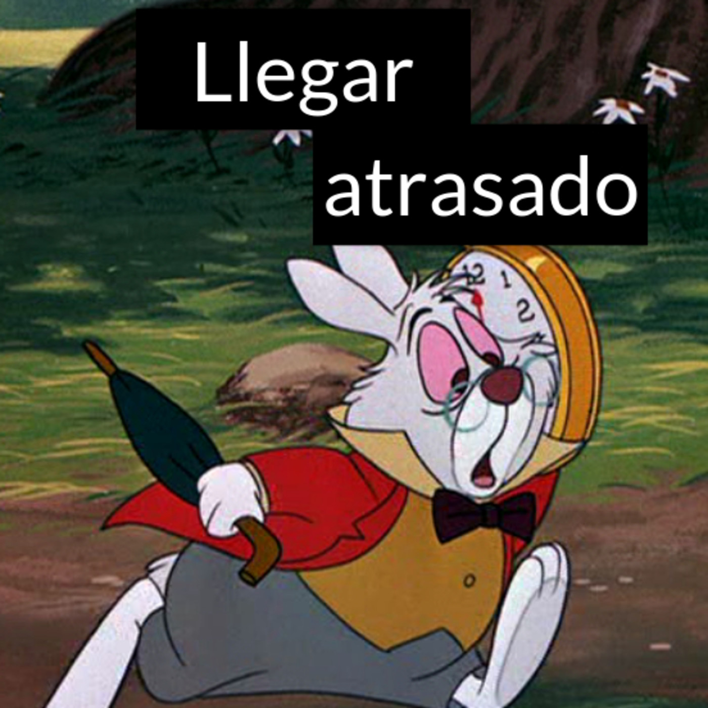 Comentandonos