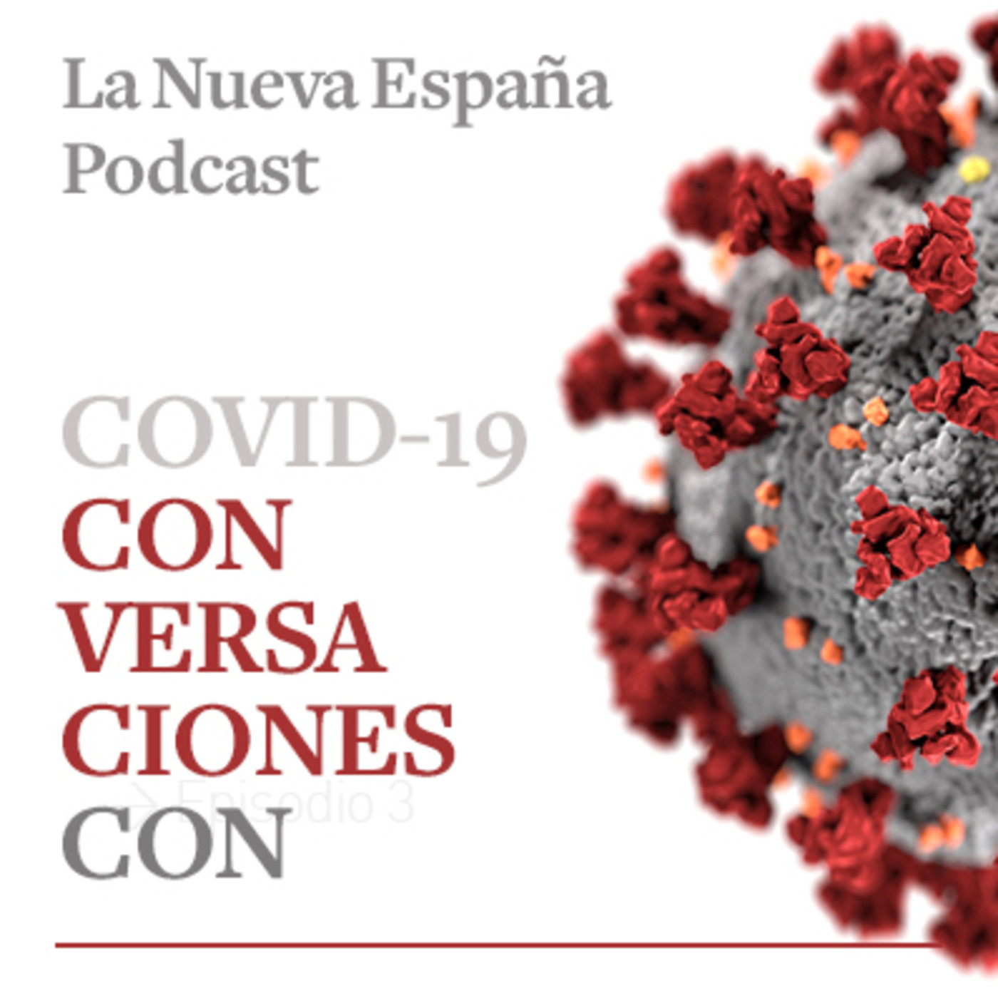 Conversaciones con Covid-19