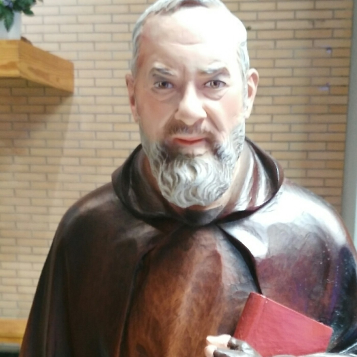 Grupo Oracion Padre Pío Nuestra Señora del Rosario