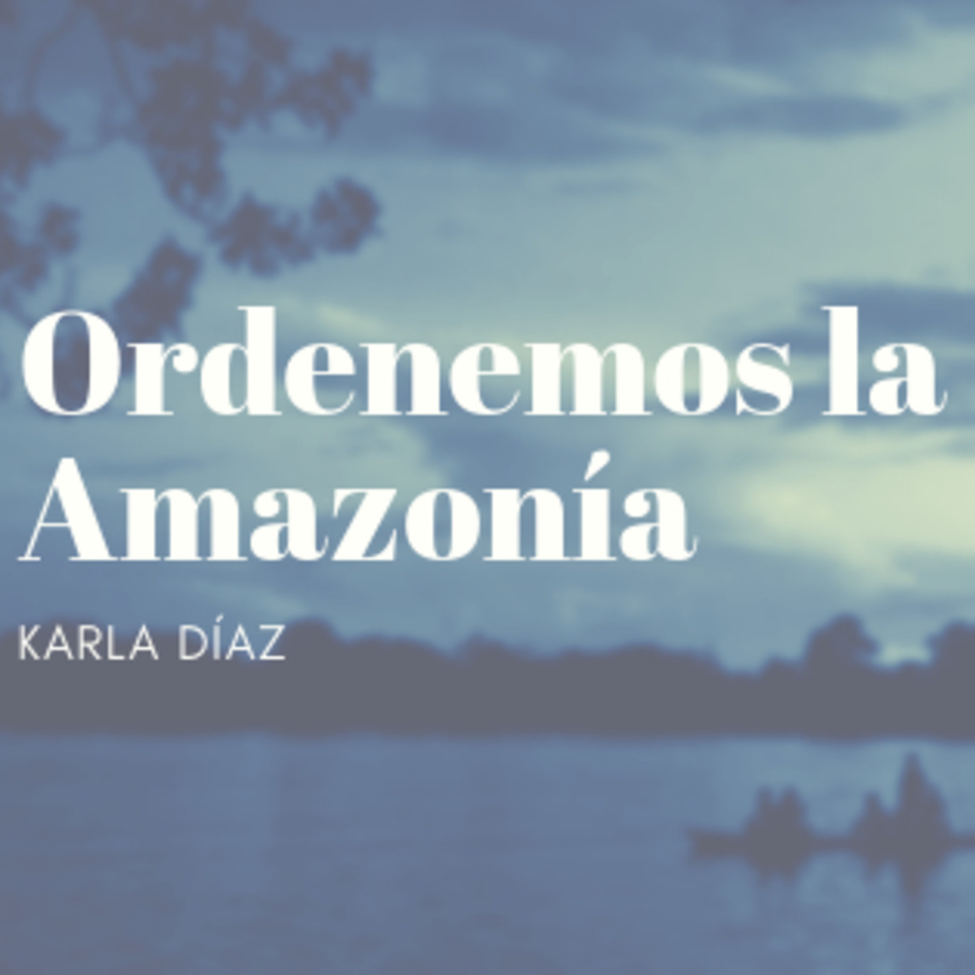 Asociación Ambiente y Sociedad