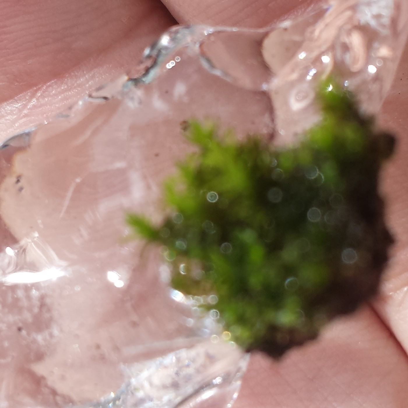 Nuestra Mente es Maravillosa