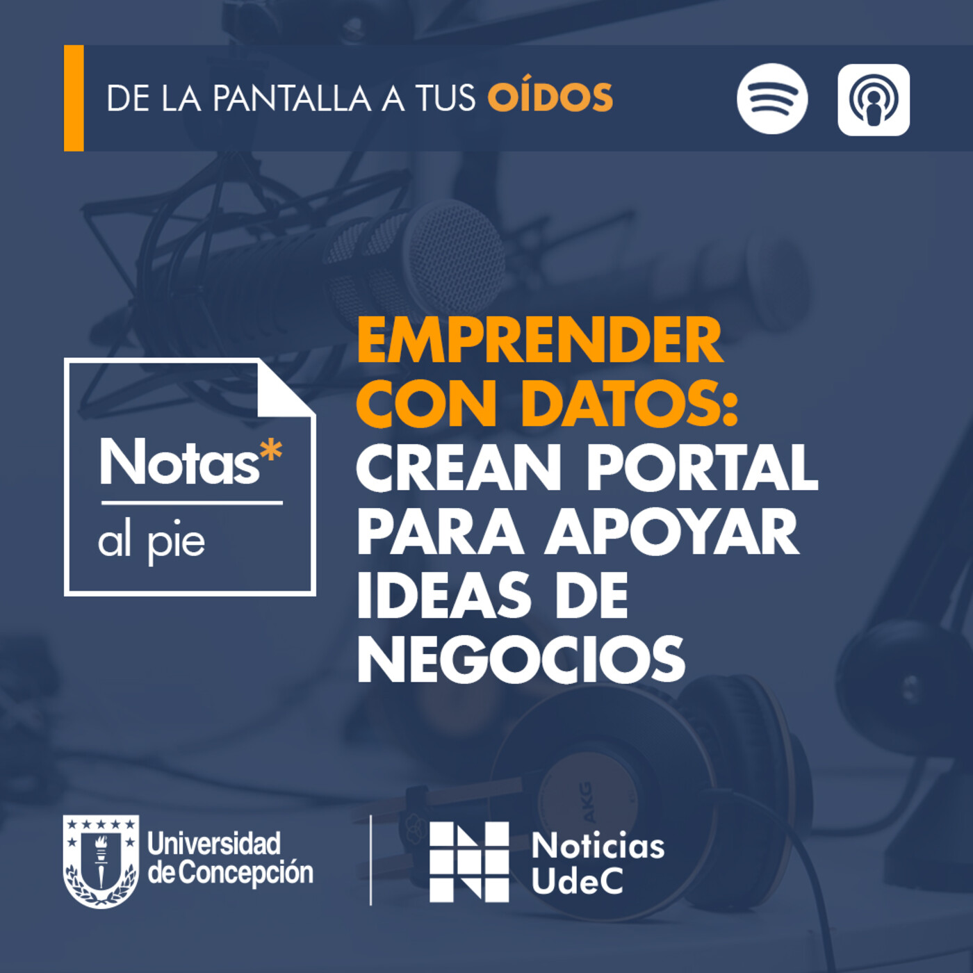 Notas al pie