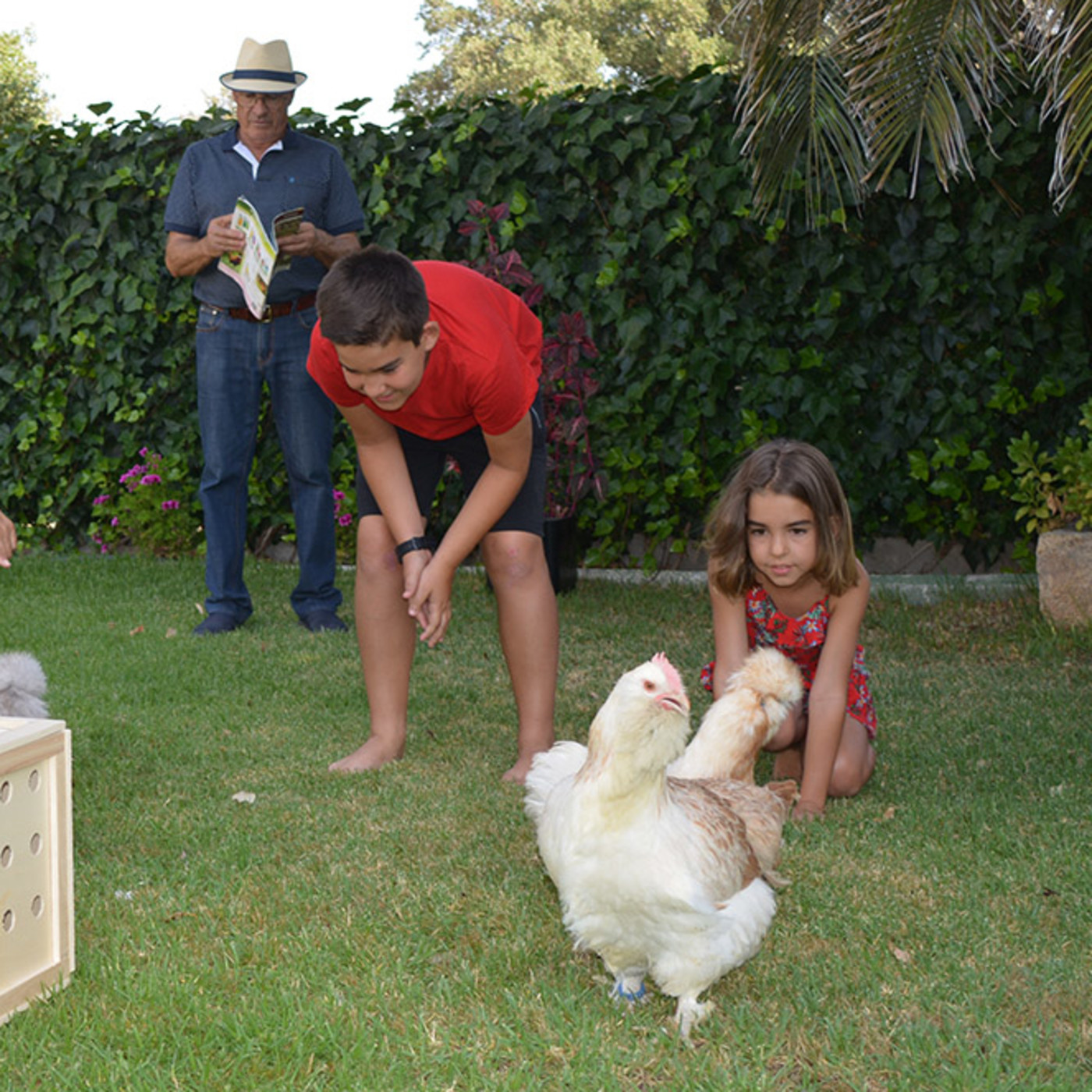 Palabra de Campo
