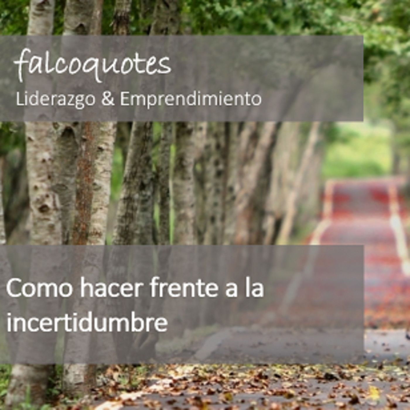 Falcoquotes: Emprendimiento Y Liderazgo