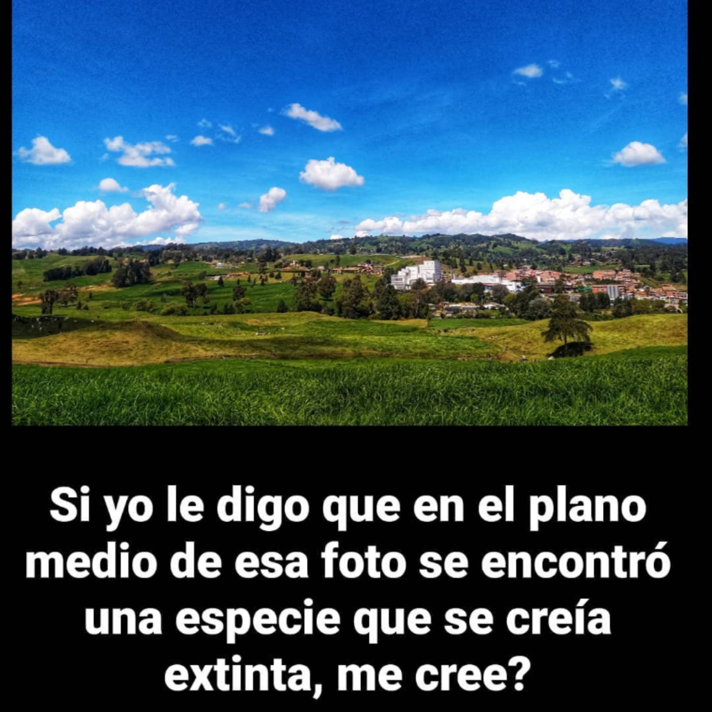 Respaldo sonoro