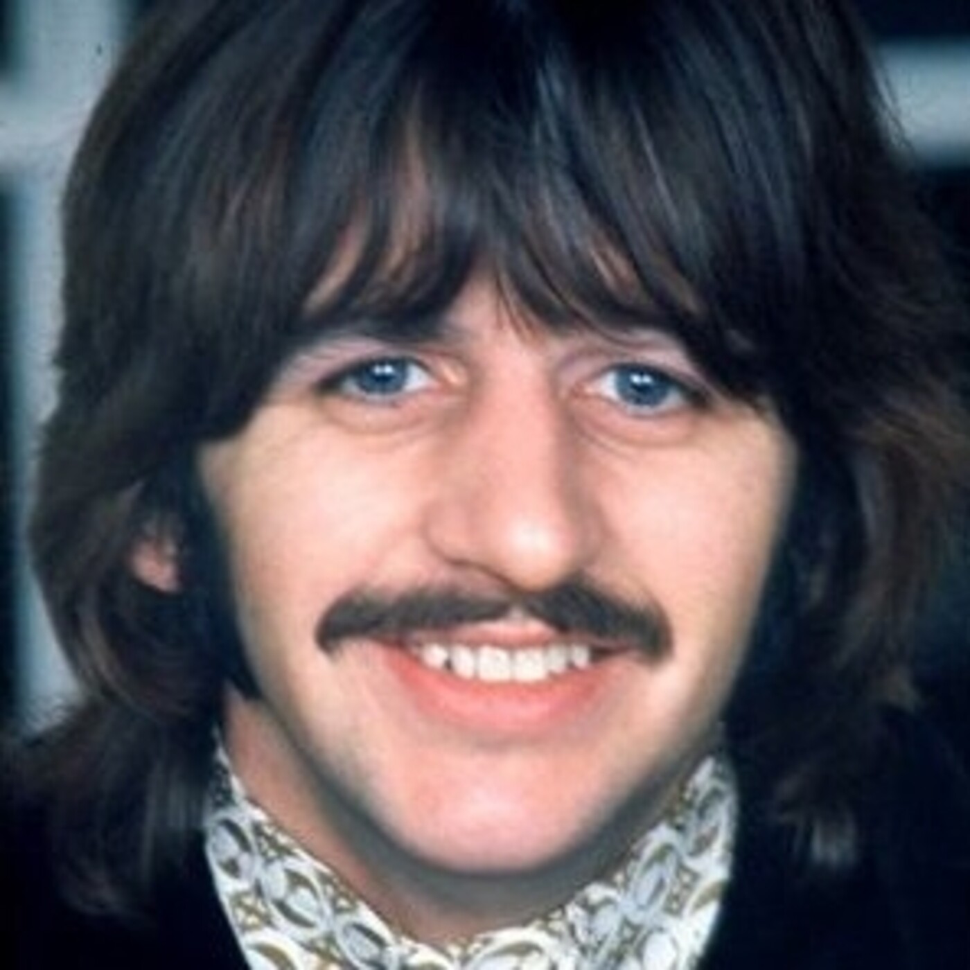 Proyecto Beatle