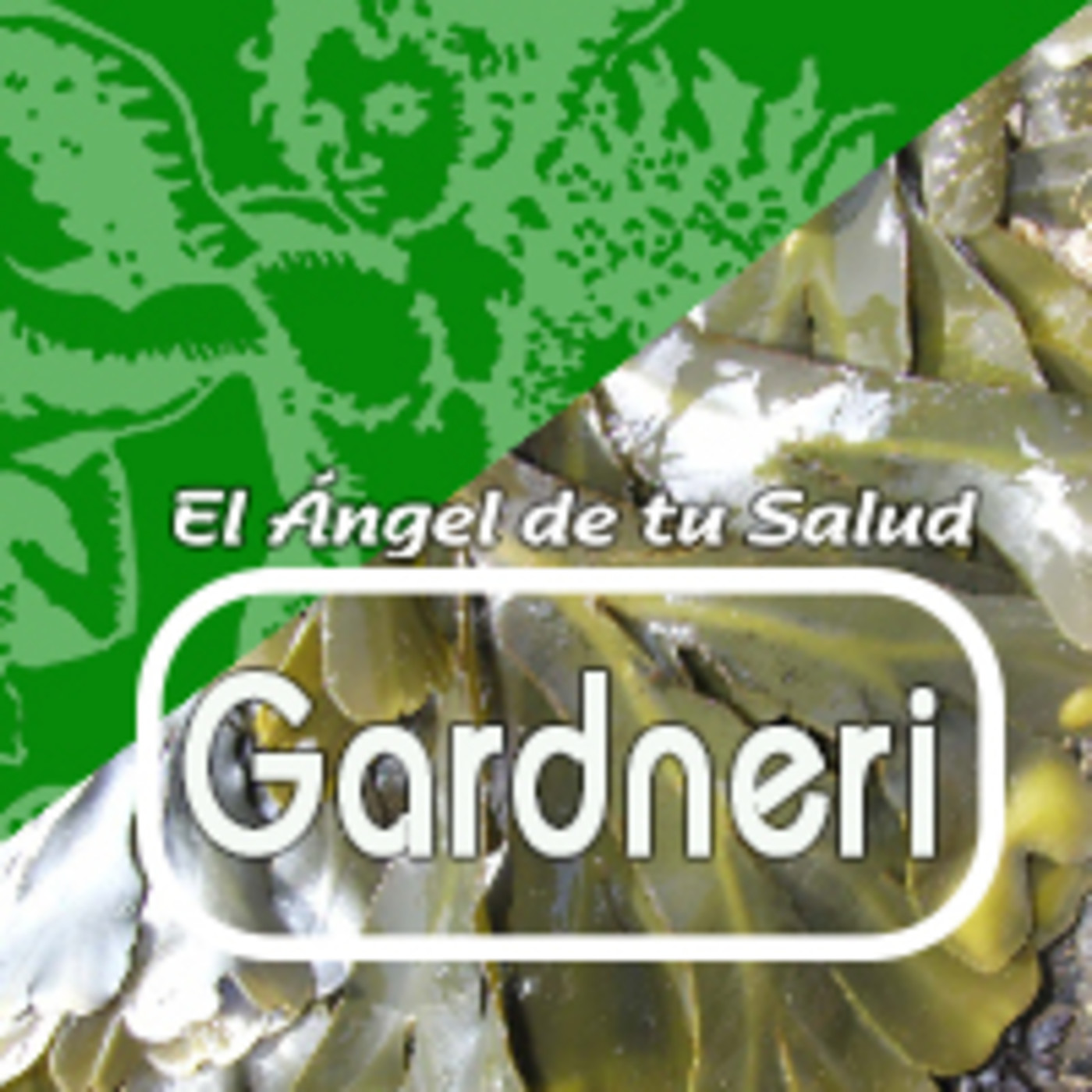 El Angel de tu Salud - GARDNERI episode artwork