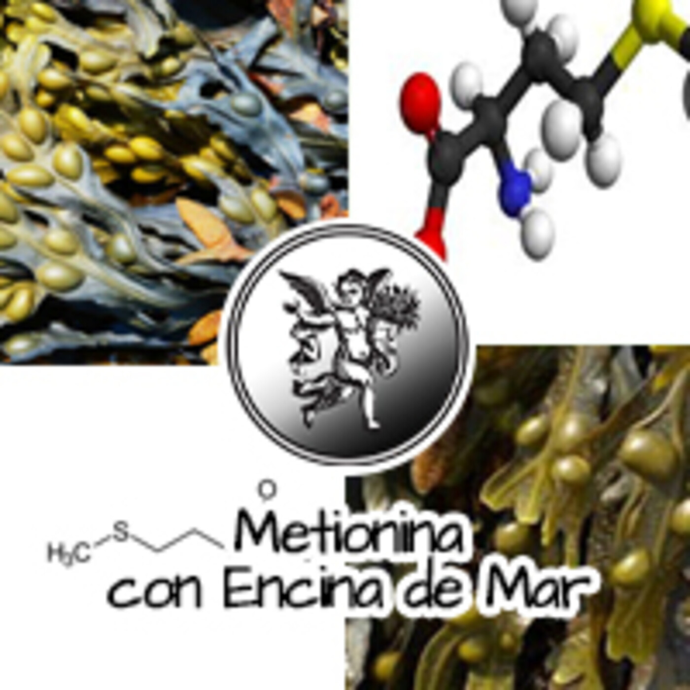 El Ángel de tu Salud - METIONINA CON ENCIMA DE MAR **** episode artwork